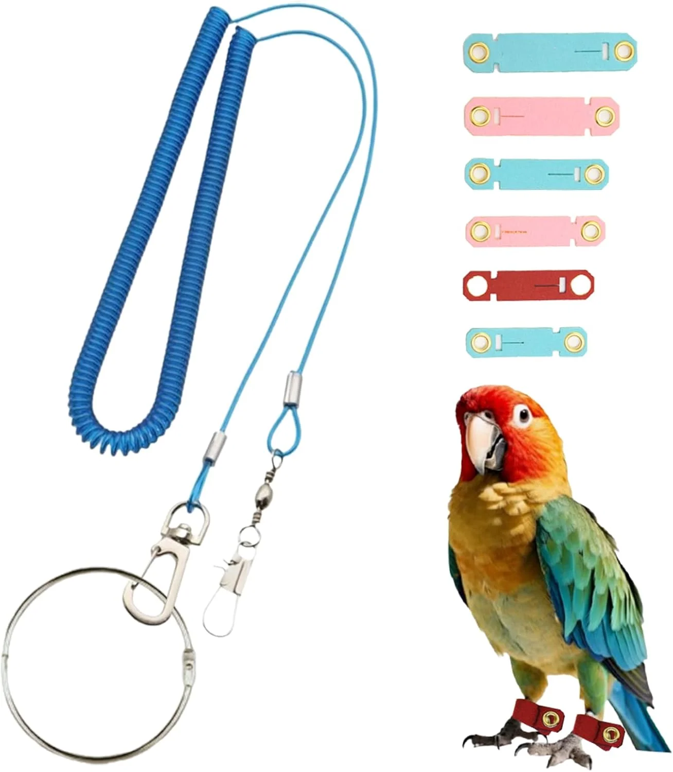 بند پرواز آموزش پرندگان با طول 5 متر، مهار پرنده ضد گاز گرفتگی با 6 حلقه پا نرم قابل تنظیم برای طوطی ها، کانورها، ماکائو و کاکادو - طناب آموزش پرواز در فضای باز پرندگان