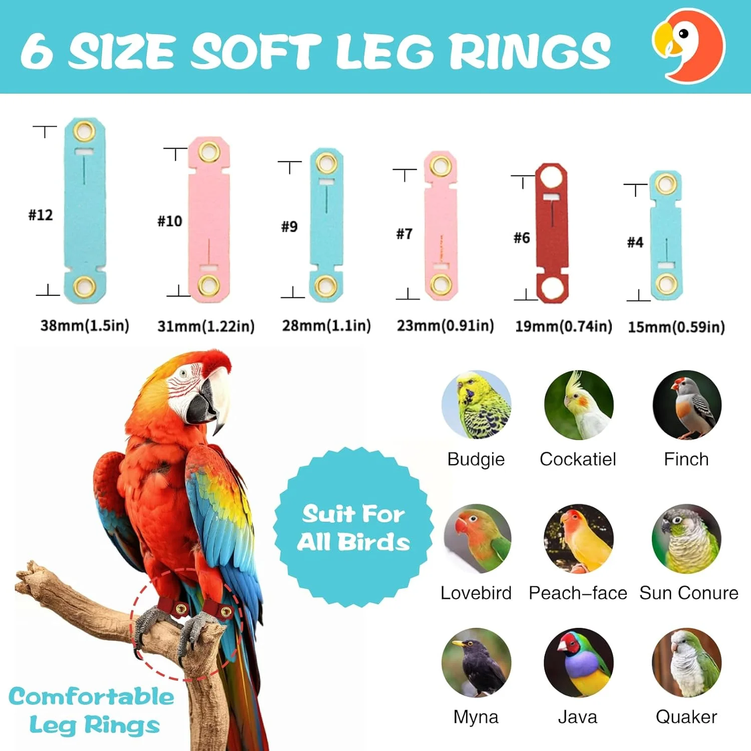 بند پرواز آموزش پرندگان با طول 5 متر، مهار پرنده ضد گاز گرفتگی با 6 حلقه پا نرم قابل تنظیم برای طوطی ها، کانورها، ماکائو و کاکادو - طناب آموزش پرواز در فضای باز پرندگان