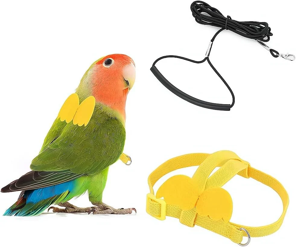 بند آموزش پرندگان ELECDON، طناب پرواز قابل تنظیم طوطی، بند کشش پرواز جهانی، ابزار بادوام برای بیرون بردن و آموزش در فضای باز برای پرندگان، طوطی، عروس هلندی، مرغ عشق، لوری، 1 عدد (زرد)