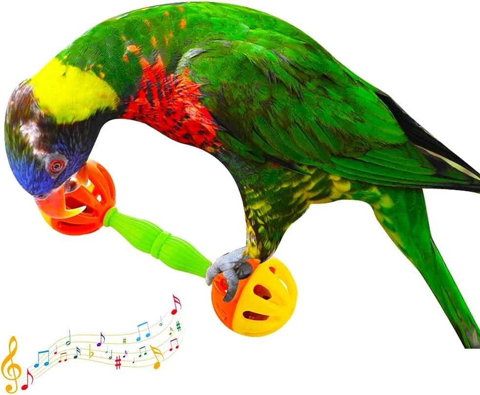 DQITJ بسته 4 عددی اسباب بازی دمبل میله ای پرنده برای طوطی های کوچک، پاراکیت گونه سبز، عروس هلندی، کانور، مرغ عشق DQITJ بسته 4 عددی اسباب بازی دمبل میله ای پرنده برای طوطی های کوچک، پاراکیت گونه سبز، عروس هلندی، کانور، مرغ عشق