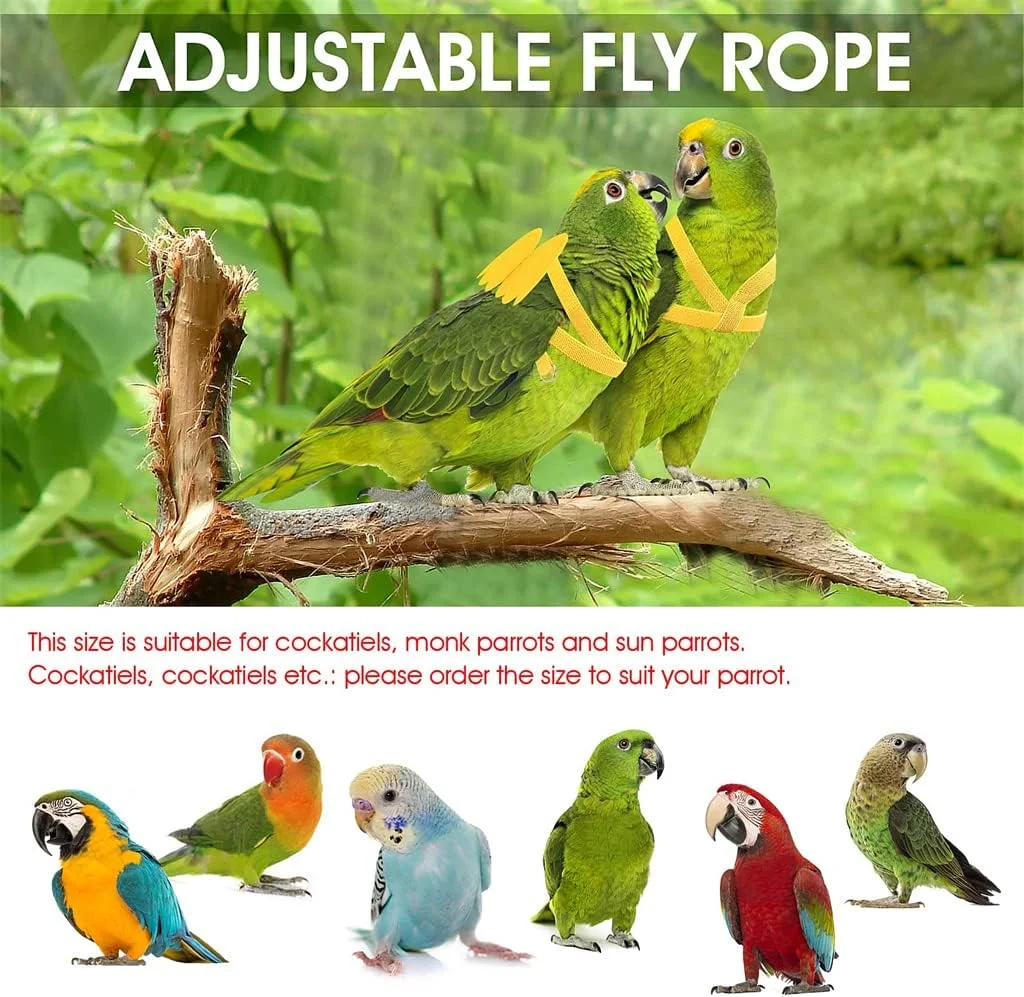 بند آموزش پرندگان ELECDON، طناب پرواز قابل تنظیم طوطی، بند کشش پرواز جهانی، ابزار بادوام برای بیرون بردن و آموزش در فضای باز برای پرندگان، طوطی، عروس هلندی، مرغ عشق، لوری، 1 عدد (زرد) بند آموزش پرندگان ELECDON، طناب پرواز قابل تنظیم طوطی، بند کشش پرواز جهانی، ابزار بادوام برای بیرون بردن و آموزش در فضای باز برای پرندگان، طوطی، عروس هلندی، مرغ عشق، لوری، 1 عدد (زرد)