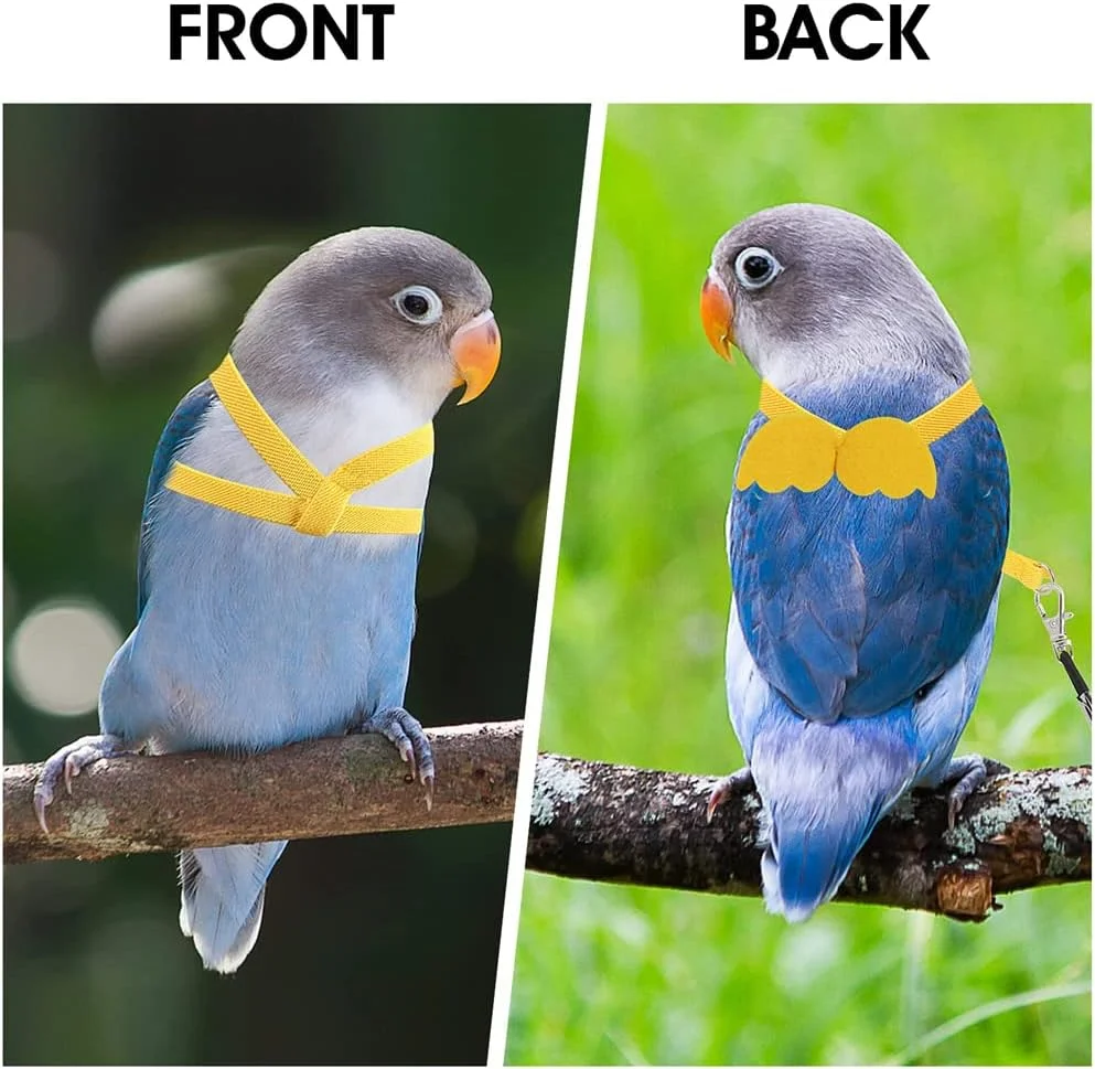 بند آموزش پرندگان ELECDON، طناب پرواز قابل تنظیم طوطی، بند کشش پرواز جهانی، ابزار بادوام برای بیرون بردن و آموزش در فضای باز برای پرندگان، طوطی، عروس هلندی، مرغ عشق، لوری، 1 عدد (زرد) بند آموزش پرندگان ELECDON، طناب پرواز قابل تنظیم طوطی، بند کشش پرواز جهانی، ابزار بادوام برای بیرون بردن و آموزش در فضای باز برای پرندگان، طوطی، عروس هلندی، مرغ عشق، لوری، 1 عدد (زرد)