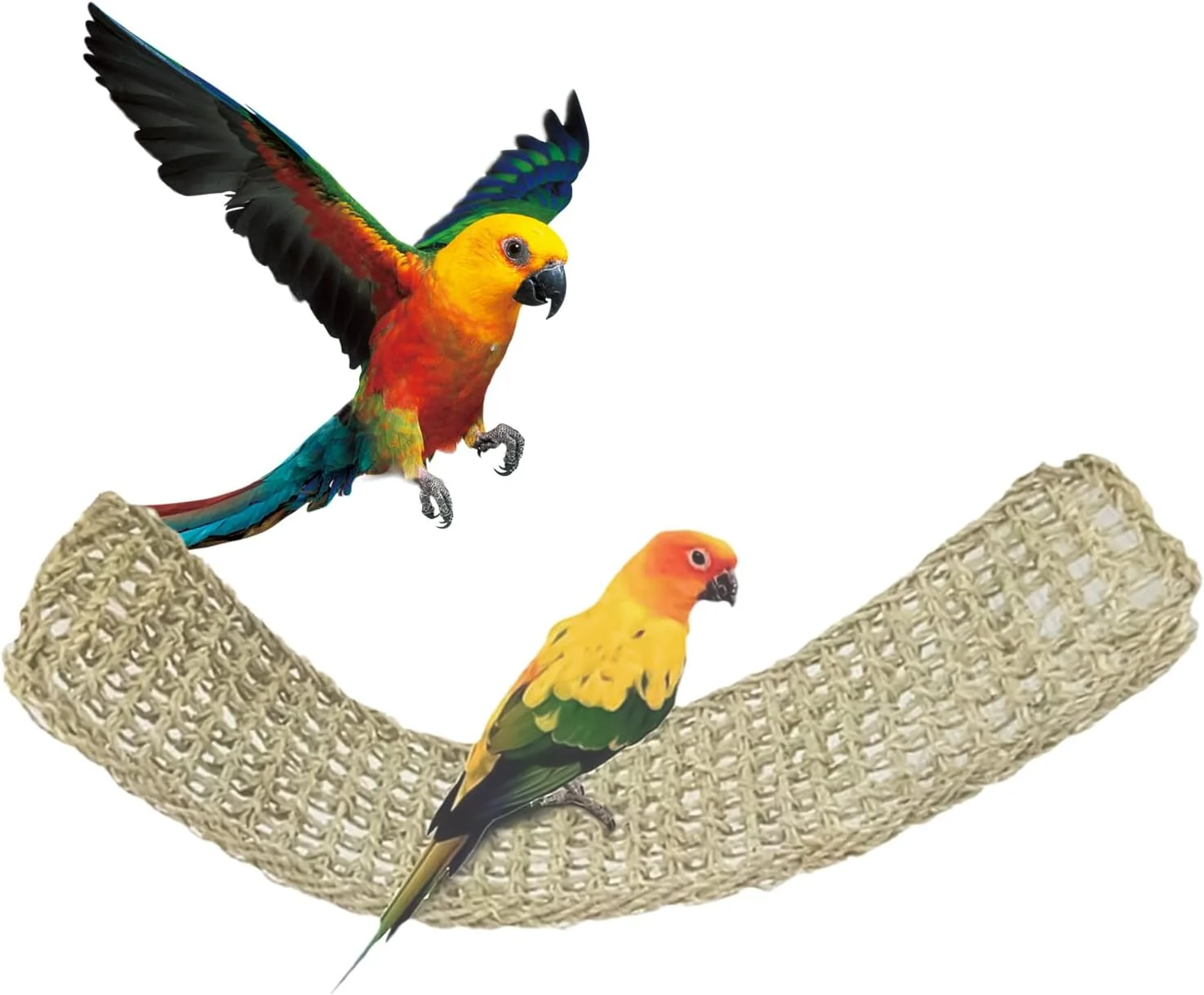 حصیر علف دریایی | تابلو بافته شده از علف طبیعی طوطی، اسباب بازی های جویدنی پایه تزئینی | برای عروس هلندی، کانور، مرغ عشق، همستر، اژدهای ریش دار، حیوانات کوچک، ورزش، پاسیو، بالکن