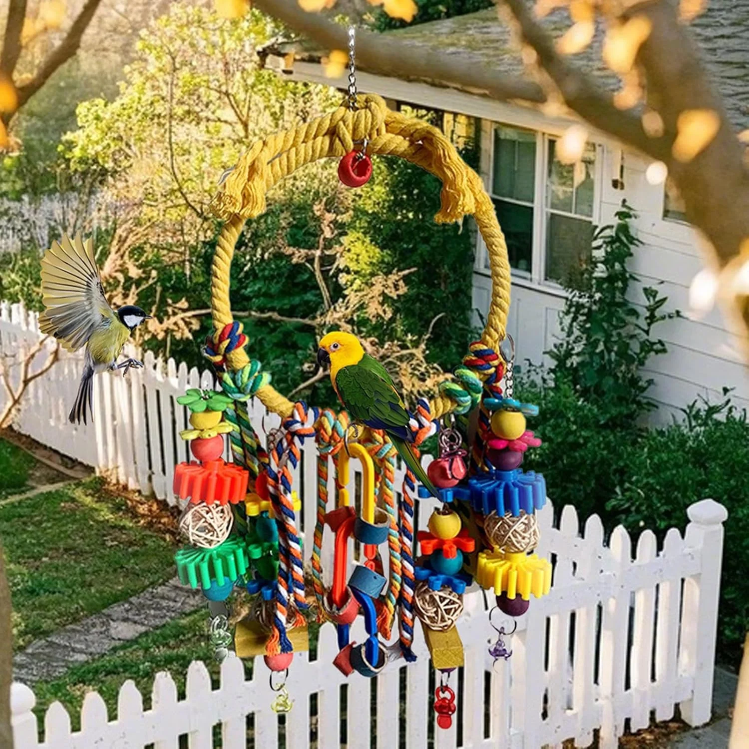 اسباب بازی های طوطی | حلقه رنگارنگ تاب پرنده اسباب بازی های کوکاتیل - طناب پنبه ای لوازم حیوانات خانگی بازی های تعاملی برای کوکاتیل کانور قناری فنچ جویدن ورزش غنی سازی صعود