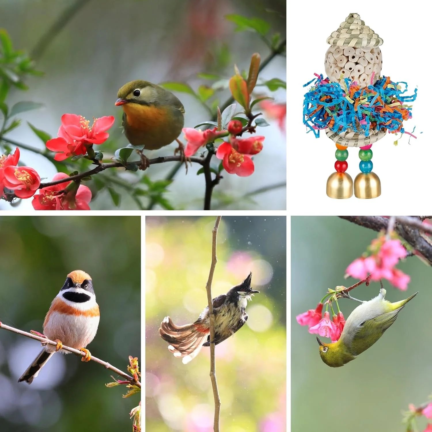 اسباب بازی های جستجوی غذا برای پرندگان، اسباب بازی های خرد کردنی طوطی - توپ جویدنی برای قفس کاکادو، فنچ، عروس هلندی، قناری، مرغ عشق، ماکائو، طوطی اسباب بازی های جستجوی غذا برای پرندگان، اسباب بازی های خرد کردنی طوطی - توپ جویدنی برای قفس کاکادو، فنچ، عروس هلندی، قناری، مرغ عشق، ماکائو، طوطی