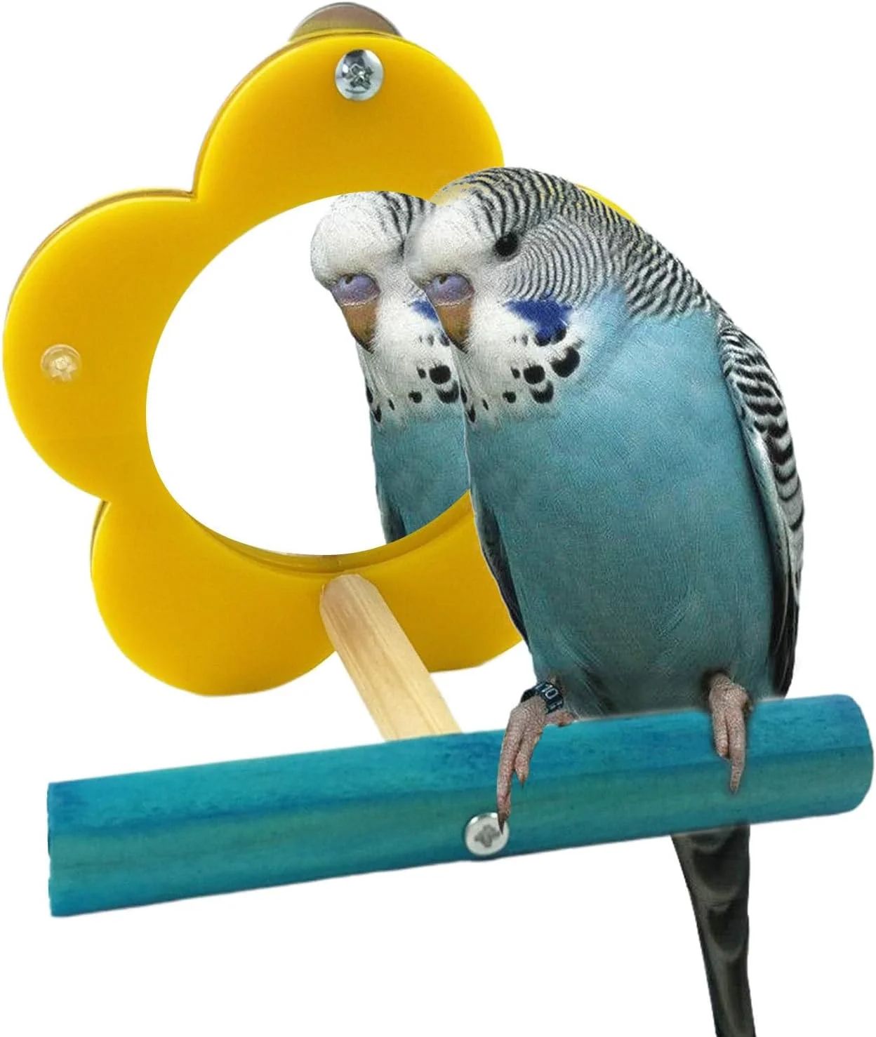آینه پرنده طوطی، آینه تعاملی پرنده اسباب بازی طوطی، پایه غنی سازی شکل گل جویدنی، لوازم حیوانات خانگی، لوازم جانبی قفس کوکاتیل