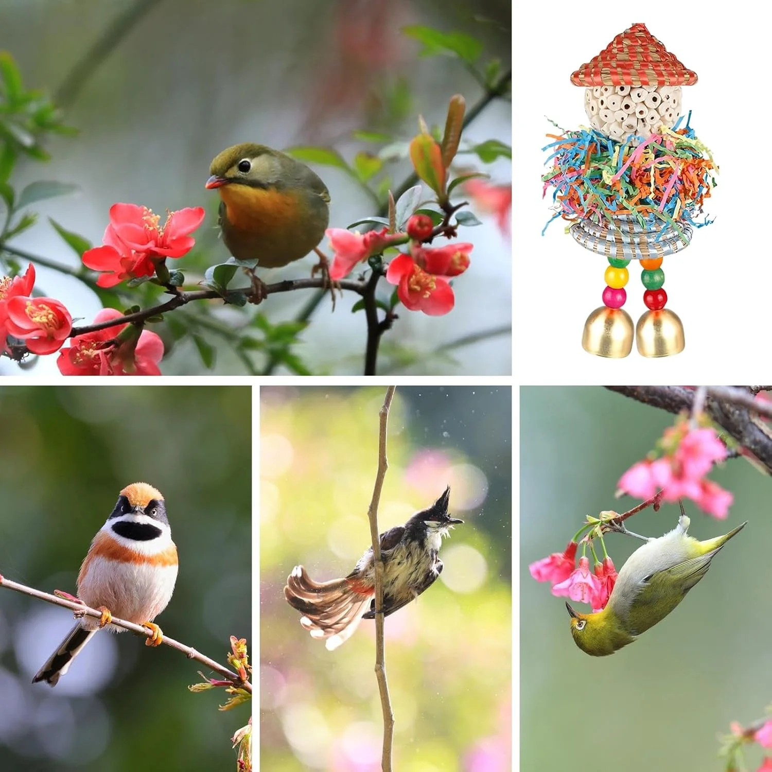 اسباب بازی های جستجوی غذا برای پرندگان | 2 عدد اسباب بازی خرد کردنی برای پرندگان | توپ محرک برای فنچ، ماکائو، عروس هلندی، طوطی، قناری، کاکادو - آموزش قفس