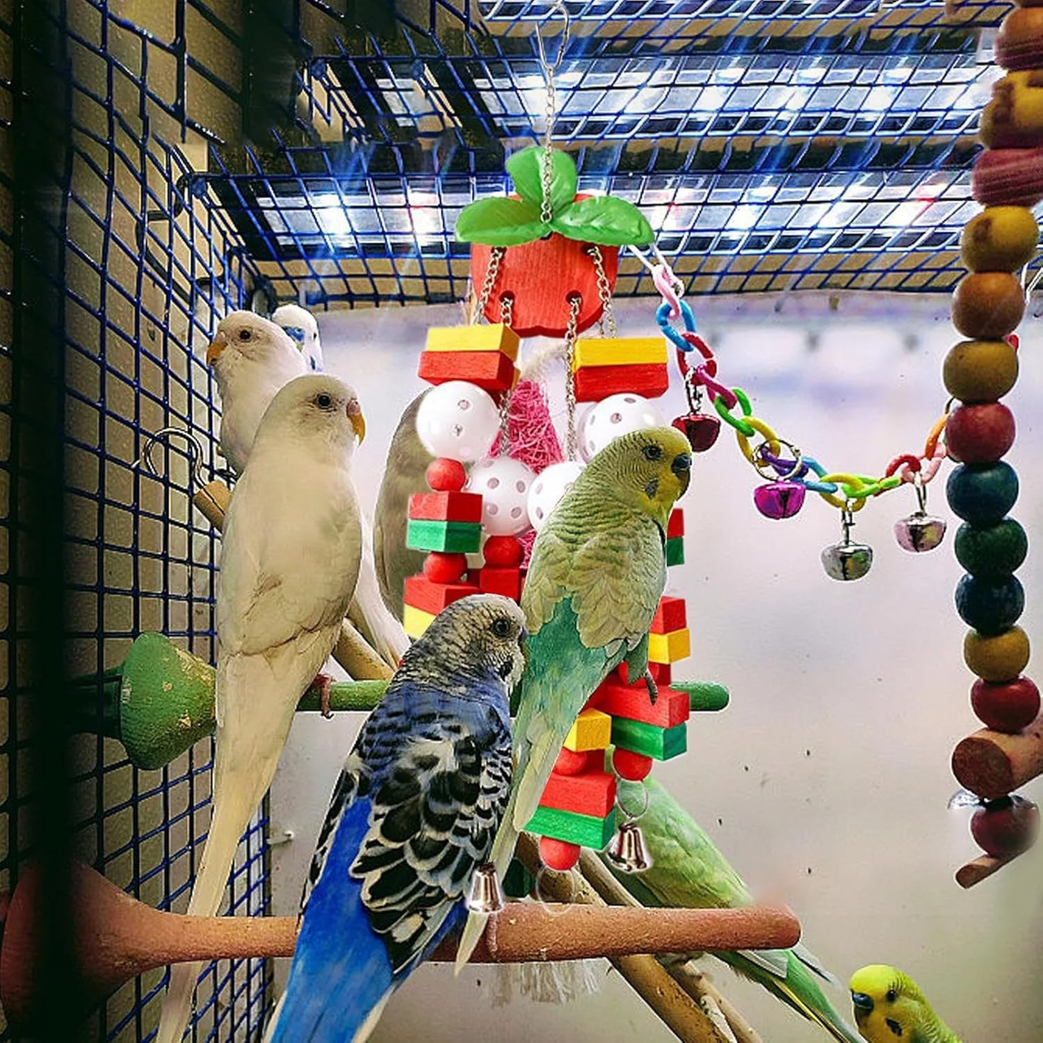 اسباب بازی پرنده برای طوطی | لوازم جانبی قفس پرنده اسباب بازی کانور | لوازم جانبی قفس مرغ عشق لوازم حیوانات خانگی برای آسیاب کردن نوک، جویدن، جستجو، مرغ عشق، عروس هلندی، کاکادو، طوطی خاکستری آفریقایی اسباب بازی پرنده برای طوطی | لوازم جانبی قفس پرنده اسباب بازی کانور | لوازم جانبی قفس مرغ عشق لوازم حیوانات خانگی برای آسیاب کردن نوک، جویدن، جستجو، مرغ عشق، عروس هلندی، کاکادو، طوطی خاکستری آفریقایی