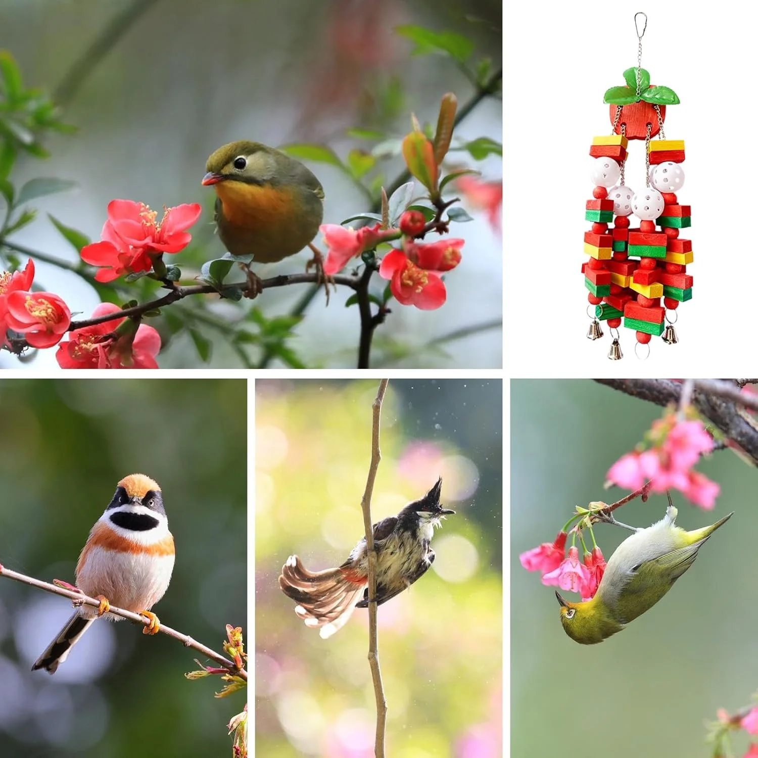 اسباب بازی پرنده برای طوطی | لوازم جانبی قفس پرنده اسباب بازی کانور | لوازم جانبی قفس مرغ عشق لوازم حیوانات خانگی برای آسیاب کردن نوک، جویدن، جستجو، مرغ عشق، عروس هلندی، کاکادو، طوطی خاکستری آفریقایی اسباب بازی پرنده برای طوطی | لوازم جانبی قفس پرنده اسباب بازی کانور | لوازم جانبی قفس مرغ عشق لوازم حیوانات خانگی برای آسیاب کردن نوک، جویدن، جستجو، مرغ عشق، عروس هلندی، کاکادو، طوطی خاکستری آفریقایی