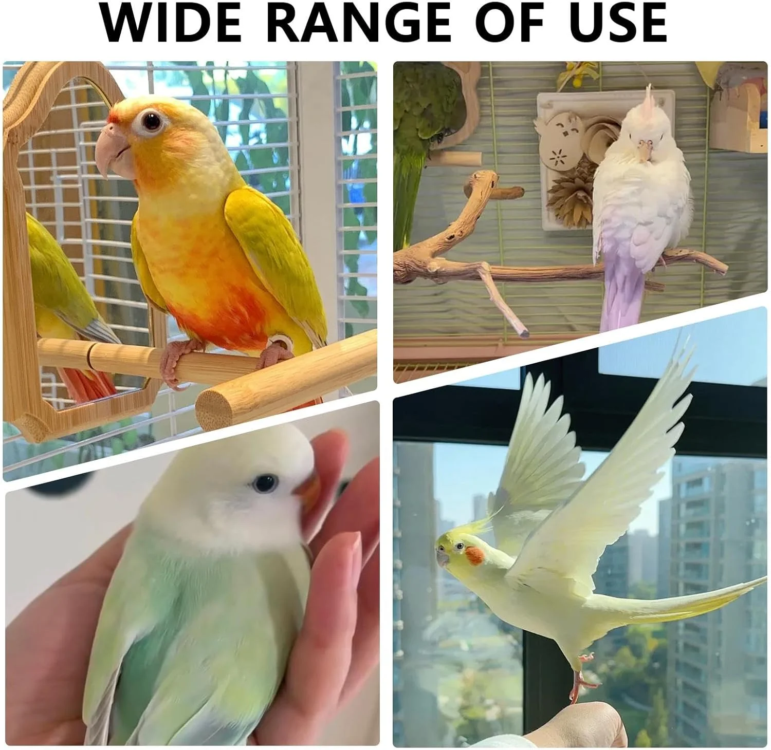 نشیمنگاه چوبی پرنده با نردبان صعود - لوازم جانبی قفس حیوانات خانگی، اسباب بازی نشیمن پرنده برای عروس هلندی، گنجشک، طوطی کوتوله، فنچ و مرغ عشق نشیمنگاه چوبی پرنده با نردبان صعود - لوازم جانبی قفس حیوانات خانگی، اسباب بازی نشیمن پرنده برای عروس هلندی، گنجشک، طوطی کوتوله، فنچ و مرغ عشق
