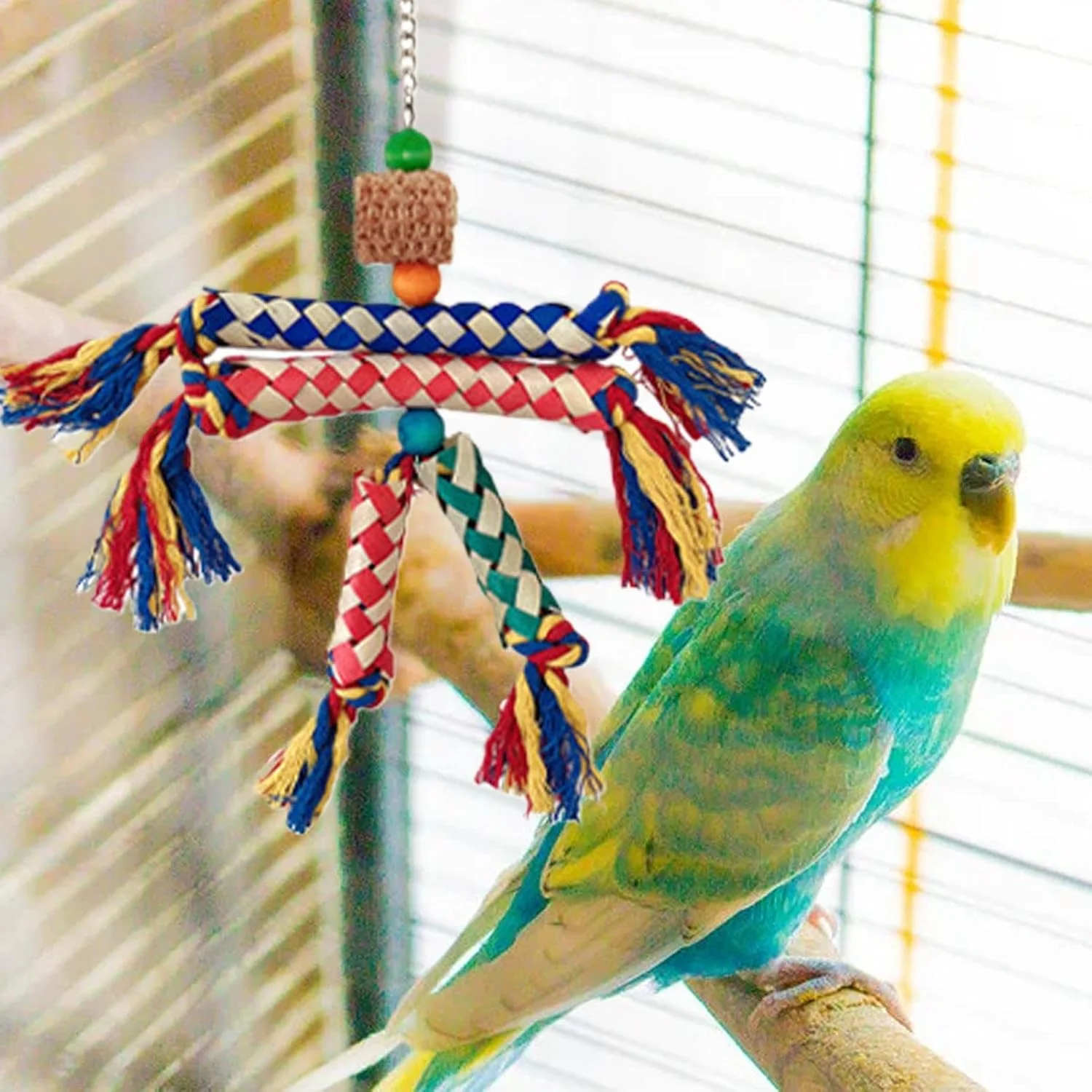 اسباب بازی طوطی برای پرندگان - طناب رنگارنگ جستجوی غذا برای عروس هلندی | طناب جویدنی نشیمنگاه قفس پرنده، بازی تعاملی برای کانورها، باجی، عروس هلندی و پریکیتو اسباب بازی طوطی برای پرندگان - طناب رنگارنگ جستجوی غذا برای عروس هلندی | طناب جویدنی نشیمنگاه قفس پرنده، بازی تعاملی برای کانورها، باجی، عروس هلندی و پریکیتو
