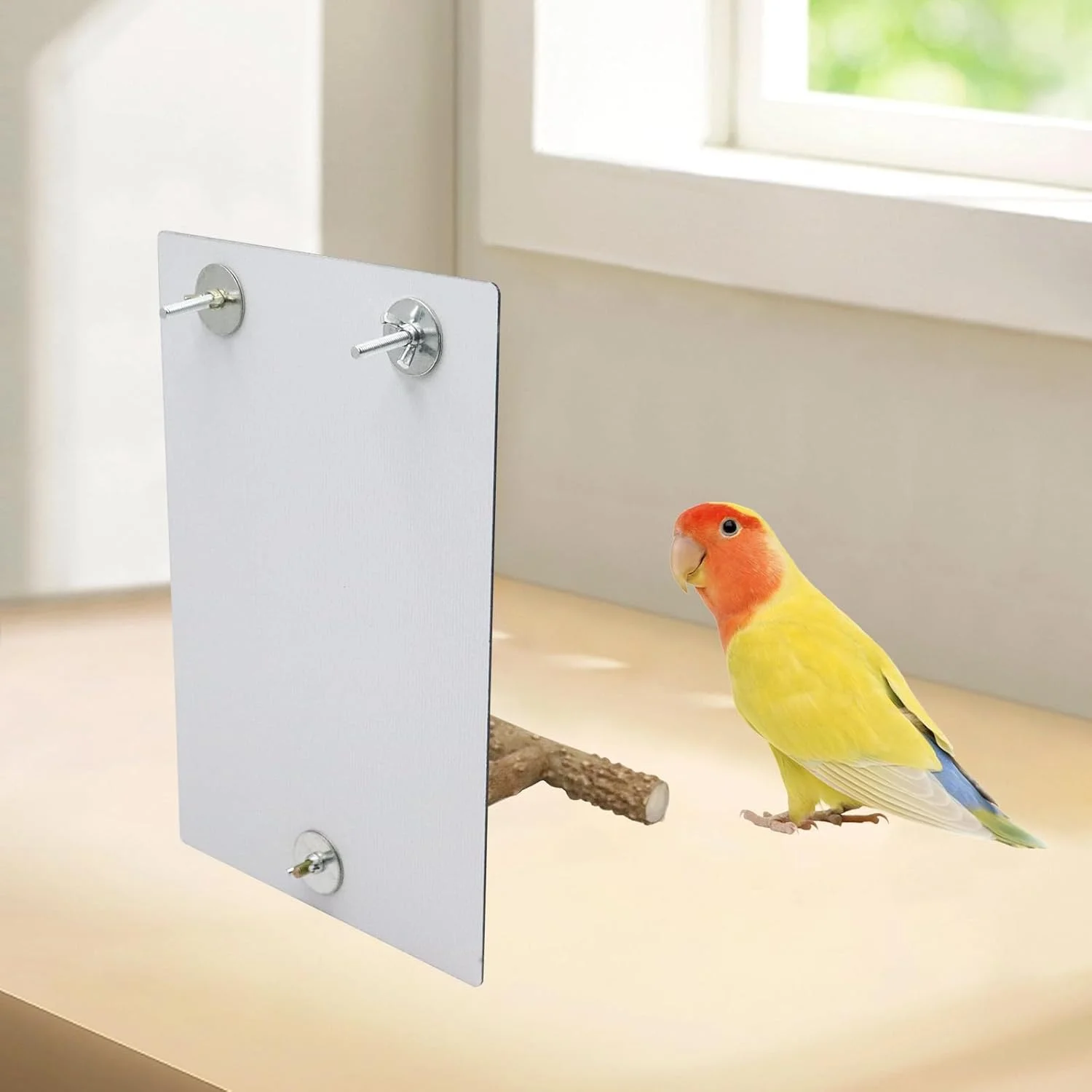 آینه بزرگ پرنده Dnoifne با ابعاد 30 در 20 سانتی متر به همراه میله نشیمن، آینه طوطی و مرغ عشق به همراه اسباب بازی زنگوله دار تاب، لوازم جانبی قفس پرنده، مناسب برای مرغ عشق، عروس هلندی، کانور و مرغ مینا