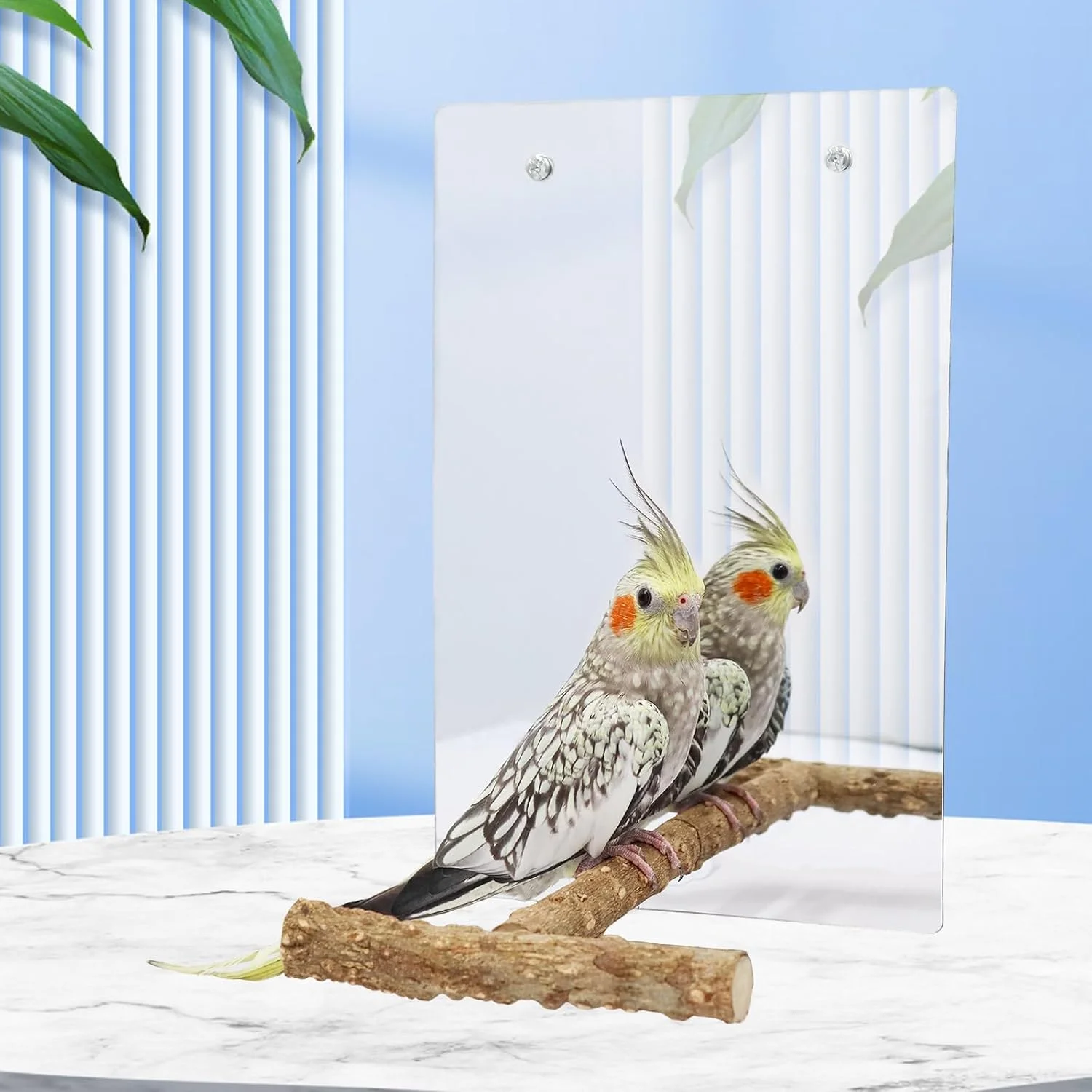 آینه بزرگ پرنده Dnoifne با ابعاد 30 در 20 سانتی متر به همراه میله نشیمن، آینه طوطی و مرغ عشق به همراه اسباب بازی زنگوله دار تاب، لوازم جانبی قفس پرنده، مناسب برای مرغ عشق، عروس هلندی، کانور و مرغ مینا