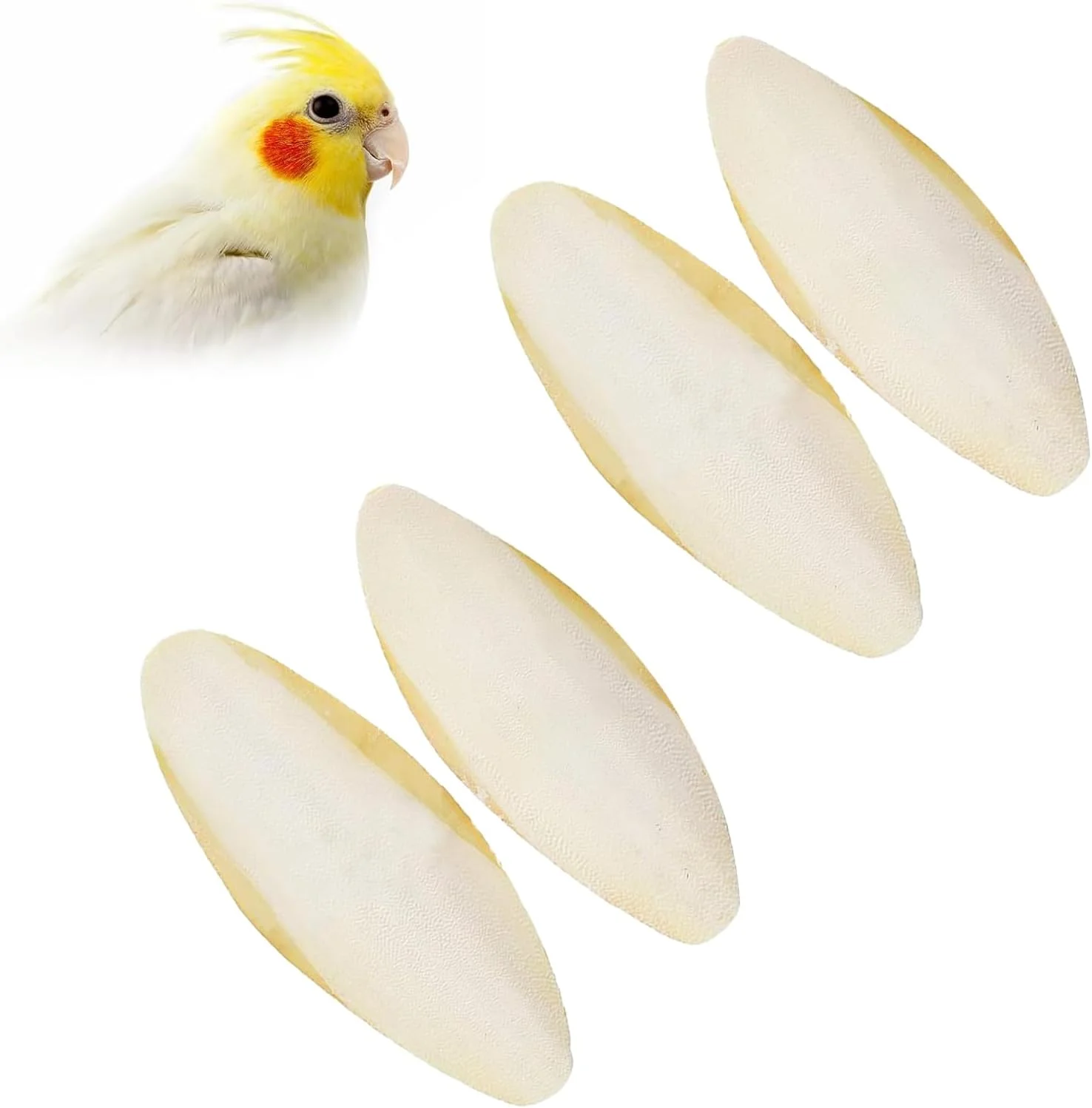 اسباب بازی جویدنی استخوان سپیا Comioke، کاسه سپیا، اسباب بازی جویدنی پرندگان، اسباب بازی جویدنی طوطی، استخوان های سپیای هشت پا برای لاک پشت ها، پرندگان، حلزون ها، 11-13 سانتی متر