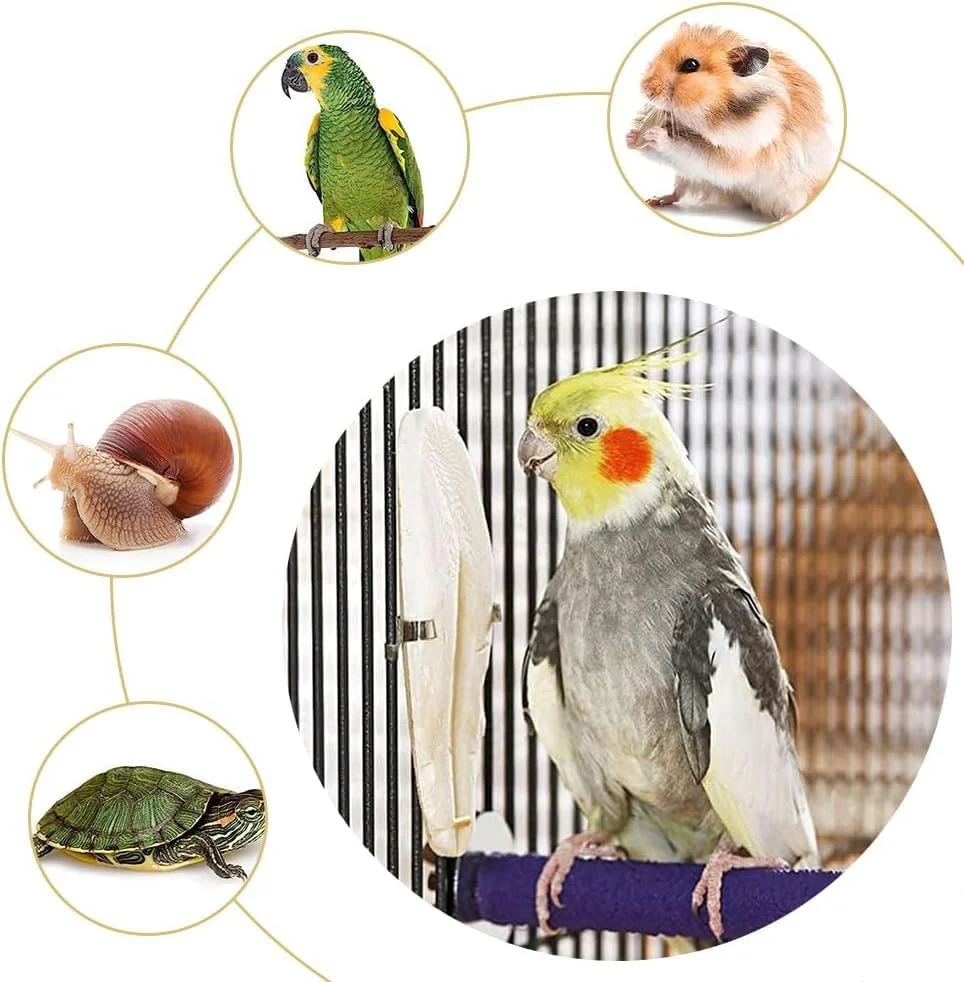 اسباب بازی جویدنی استخوان سپیا Comioke، کاسه سپیا، اسباب بازی جویدنی پرندگان، اسباب بازی جویدنی طوطی، استخوان های سپیای هشت پا برای لاک پشت ها، پرندگان، حلزون ها، 11-13 سانتی متر