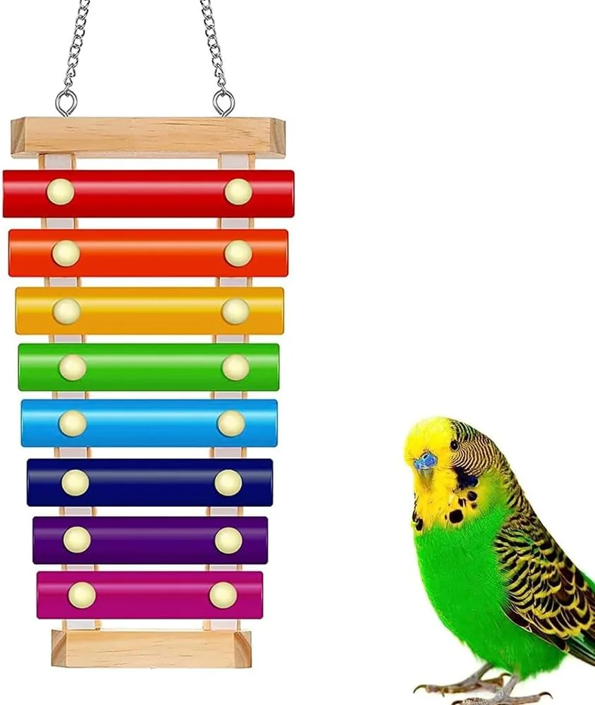 اسباب بازی زایلوفون پرنده رنگارنگ، اسباب بازی زنگوله پرنده، اسباب بازی موسیقی آویز، لوازم جانبی قفس زایلوفون خنده دار برای مرغ، کانکور، طوطی، طوطی برزیلی، مرغ عشق اسباب بازی زایلوفون پرنده رنگارنگ، اسباب بازی زنگوله پرنده، اسباب بازی موسیقی آویز، لوازم جانبی قفس زایلوفون خنده دار برای مرغ، کانکور، طوطی، طوطی برزیلی، مرغ عشق