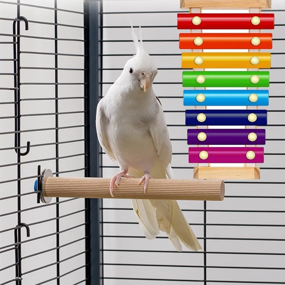 اسباب بازی زایلوفون پرنده رنگارنگ، اسباب بازی زنگوله پرنده، اسباب بازی موسیقی آویز، لوازم جانبی قفس زایلوفون خنده دار برای مرغ، کانکور، طوطی، طوطی برزیلی، مرغ عشق اسباب بازی زایلوفون پرنده رنگارنگ، اسباب بازی زنگوله پرنده، اسباب بازی موسیقی آویز، لوازم جانبی قفس زایلوفون خنده دار برای مرغ، کانکور، طوطی، طوطی برزیلی، مرغ عشق