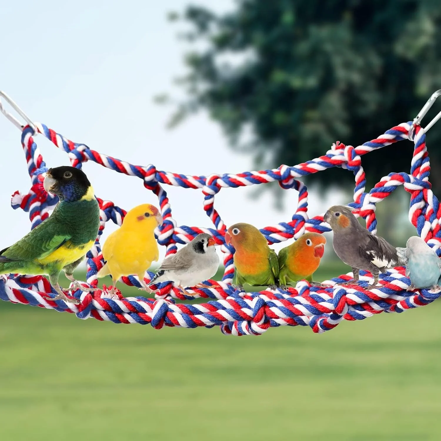 بسته 2 عددی طناب توری رنگارنگ پرندگان، تاب معلق و نردبان طنابی برای حیوانات کوچک، پرندگان و جوندگان، پل اسباب بازی قفس و دکور برای مرغ عشق، همستر، راسو بسته 2 عددی طناب توری رنگارنگ پرندگان، تاب معلق و نردبان طنابی برای حیوانات کوچک، پرندگان و جوندگان، پل اسباب بازی قفس و دکور برای مرغ عشق، همستر، راسو