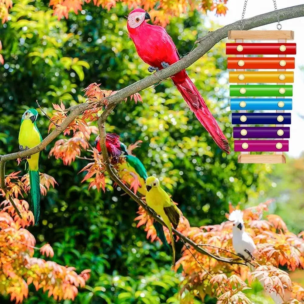 اسباب بازی زایلوفون پرنده رنگارنگ، اسباب بازی زنگوله پرنده، اسباب بازی موسیقی آویز، لوازم جانبی قفس زایلوفون خنده دار برای مرغ، کانکور، طوطی، طوطی برزیلی، مرغ عشق اسباب بازی زایلوفون پرنده رنگارنگ، اسباب بازی زنگوله پرنده، اسباب بازی موسیقی آویز، لوازم جانبی قفس زایلوفون خنده دار برای مرغ، کانکور، طوطی، طوطی برزیلی، مرغ عشق