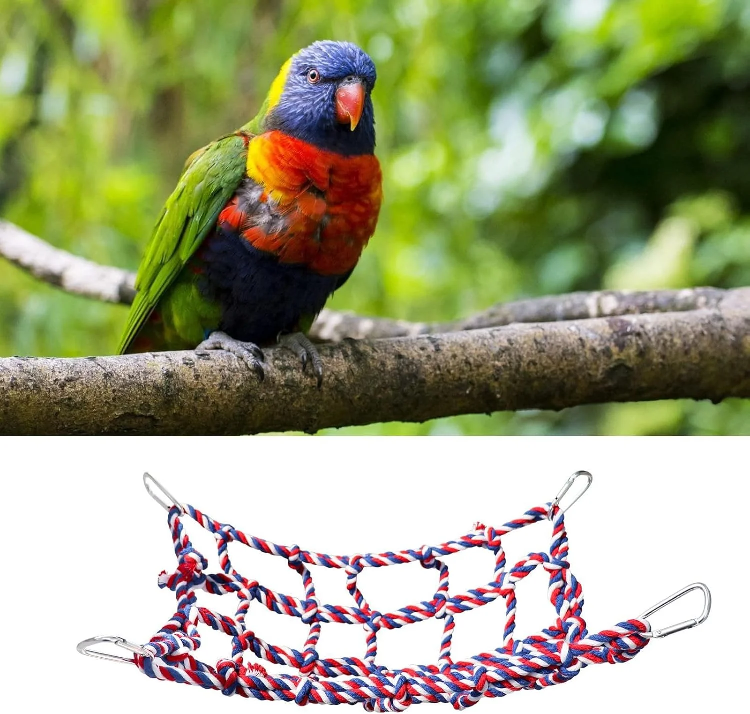 بسته 2 عددی طناب توری رنگارنگ پرندگان، تاب معلق و نردبان طنابی برای حیوانات کوچک، پرندگان و جوندگان، پل اسباب بازی قفس و دکور برای مرغ عشق، همستر، راسو بسته 2 عددی طناب توری رنگارنگ پرندگان، تاب معلق و نردبان طنابی برای حیوانات کوچک، پرندگان و جوندگان، پل اسباب بازی قفس و دکور برای مرغ عشق، همستر، راسو