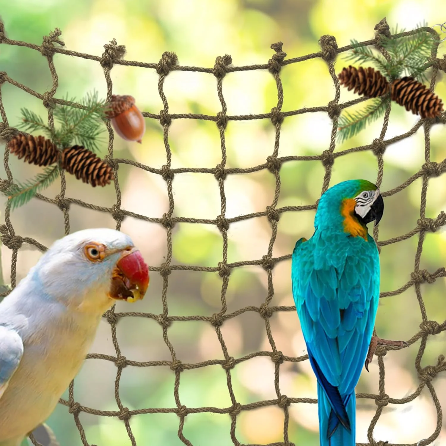 تور طناب نوردی طوطی مدل Jungle Fever، اسباب بازی مناسب برای حیوانات کوچک مانند مرغ عشق، فنچ، باجریگار، کانور و عروس هلندی (سایز بزرگ 60x60 سانتی متر) تور طناب نوردی طوطی مدل Jungle Fever، اسباب بازی مناسب برای حیوانات کوچک مانند مرغ عشق، فنچ، باجریگار، کانور و عروس هلندی (سایز بزرگ 60x60 سانتی متر)