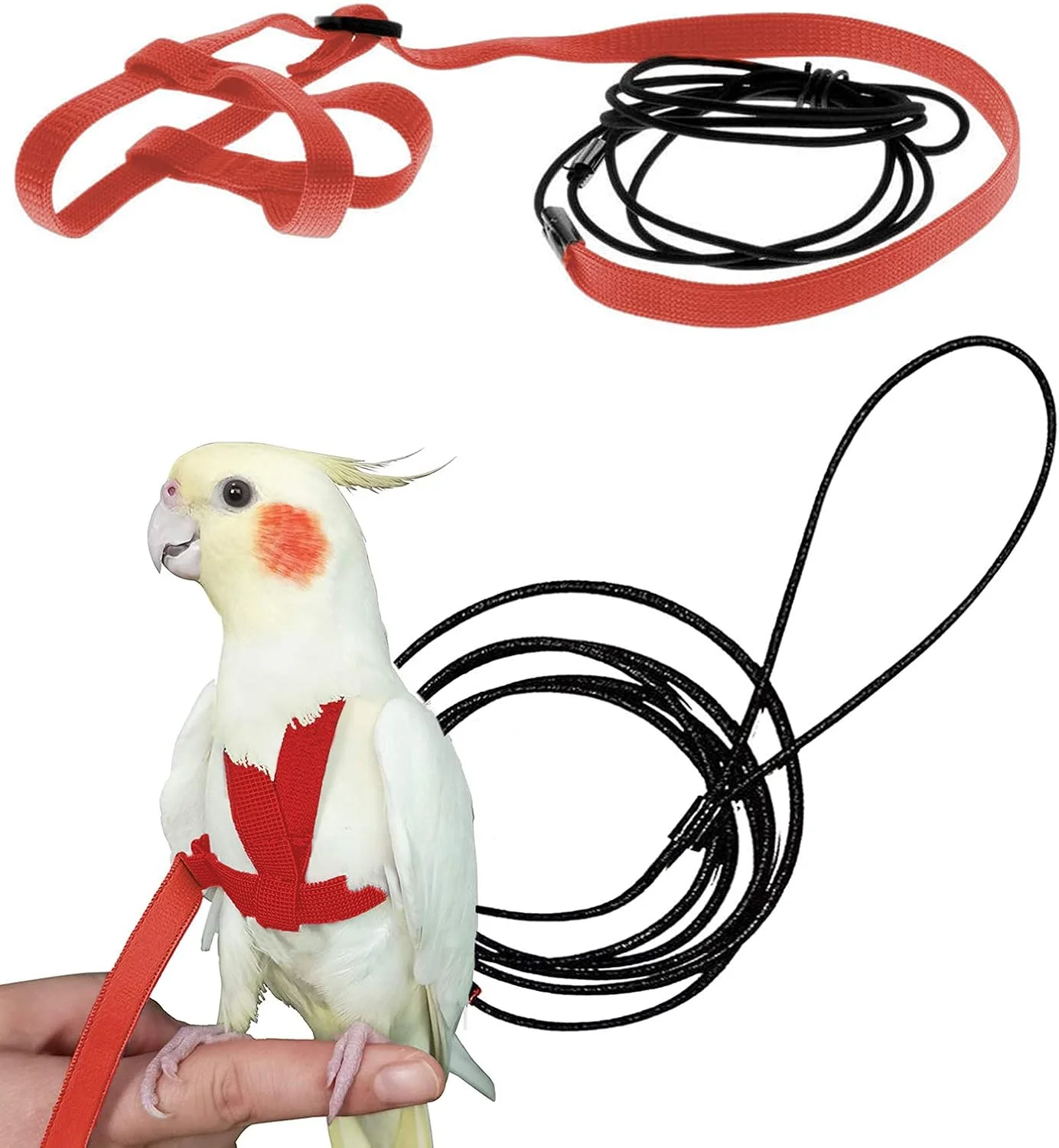 بند و افسار طوطی نایلونی قابل تنظیم CIEOVO SZSJBK با طراحی ضد گاز گرفتن، 1.8 متر (S) بند و افسار طوطی نایلونی قابل تنظیم CIEOVO SZSJBK با طراحی ضد گاز گرفتن، 1.8 متر (S)