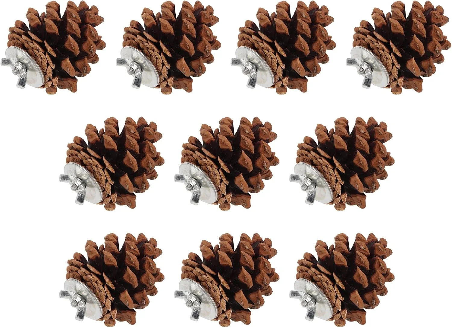 اسباب بازی جویدنی مخروط کاج پرندگان، مناسب برای طوطی، عروس هلندی، کانور، فنچ، مرغ عشق، ماکائو - 10 عدد اسباب بازی جویدنی مخروط کاج پرندگان، مناسب برای طوطی، عروس هلندی، کانور، فنچ، مرغ عشق، ماکائو - 10 عدد