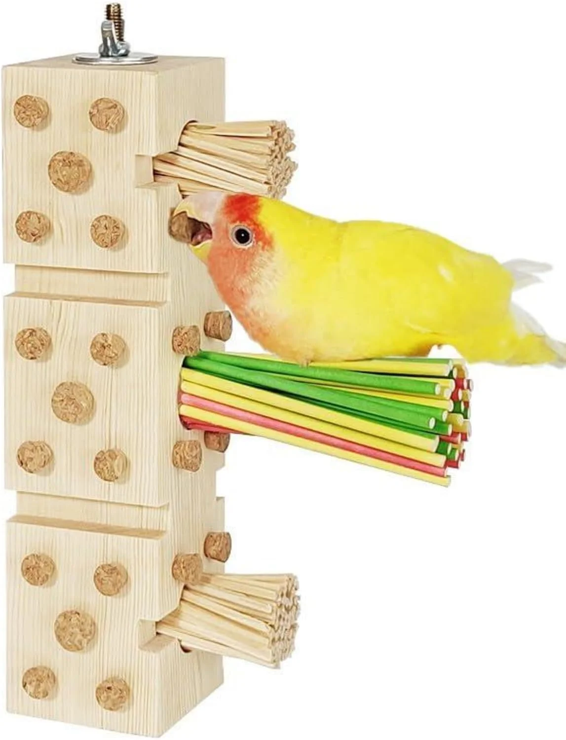 اسباب بازی های جویدنی طوطی، اسباب بازی های نشیمنگاه طوطی، اسباب بازی های طوطی پرندگان متوسط، نشیمنگاه قفس با چوب کاج، اسباب بازی جویدنی هوشمند برای پرندگان کوچک، مرغ عشق، ماکائو، کاکادو، اسباب بازی های دندانی طوطی، اسباب بازی های طوطی اسباب بازی های جویدنی طوطی، اسباب بازی های نشیمنگاه طوطی، اسباب بازی های طوطی پرندگان متوسط، نشیمنگاه قفس با چوب کاج، اسباب بازی جویدنی هوشمند برای پرندگان کوچک، مرغ عشق، ماکائو، کاکادو، اسباب بازی های دندانی طوطی، اسباب بازی های طوطی