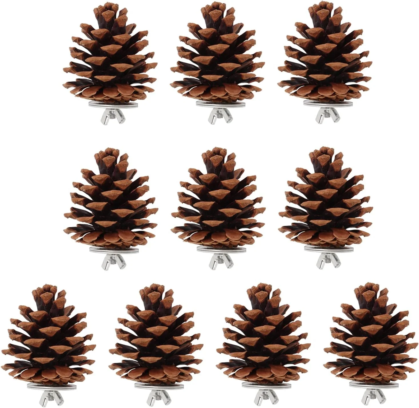 اسباب بازی جویدنی مخروط کاج پرندگان، مناسب برای طوطی، عروس هلندی، کانور، فنچ، مرغ عشق، ماکائو - 10 عدد اسباب بازی جویدنی مخروط کاج پرندگان، مناسب برای طوطی، عروس هلندی، کانور، فنچ، مرغ عشق، ماکائو - 10 عدد