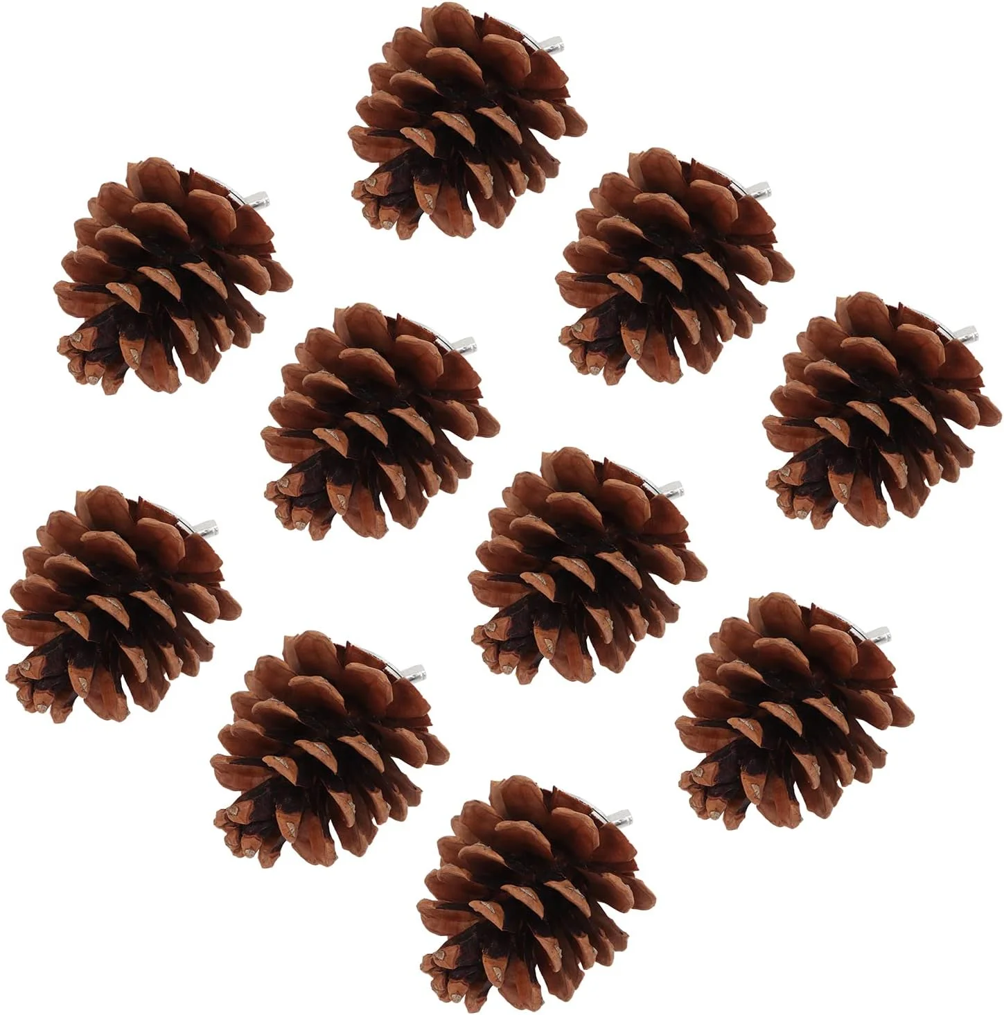 اسباب بازی جویدنی مخروط کاج پرندگان، مناسب برای طوطی، عروس هلندی، کانور، فنچ، مرغ عشق، ماکائو - 10 عدد اسباب بازی جویدنی مخروط کاج پرندگان، مناسب برای طوطی، عروس هلندی، کانور، فنچ، مرغ عشق، ماکائو - 10 عدد