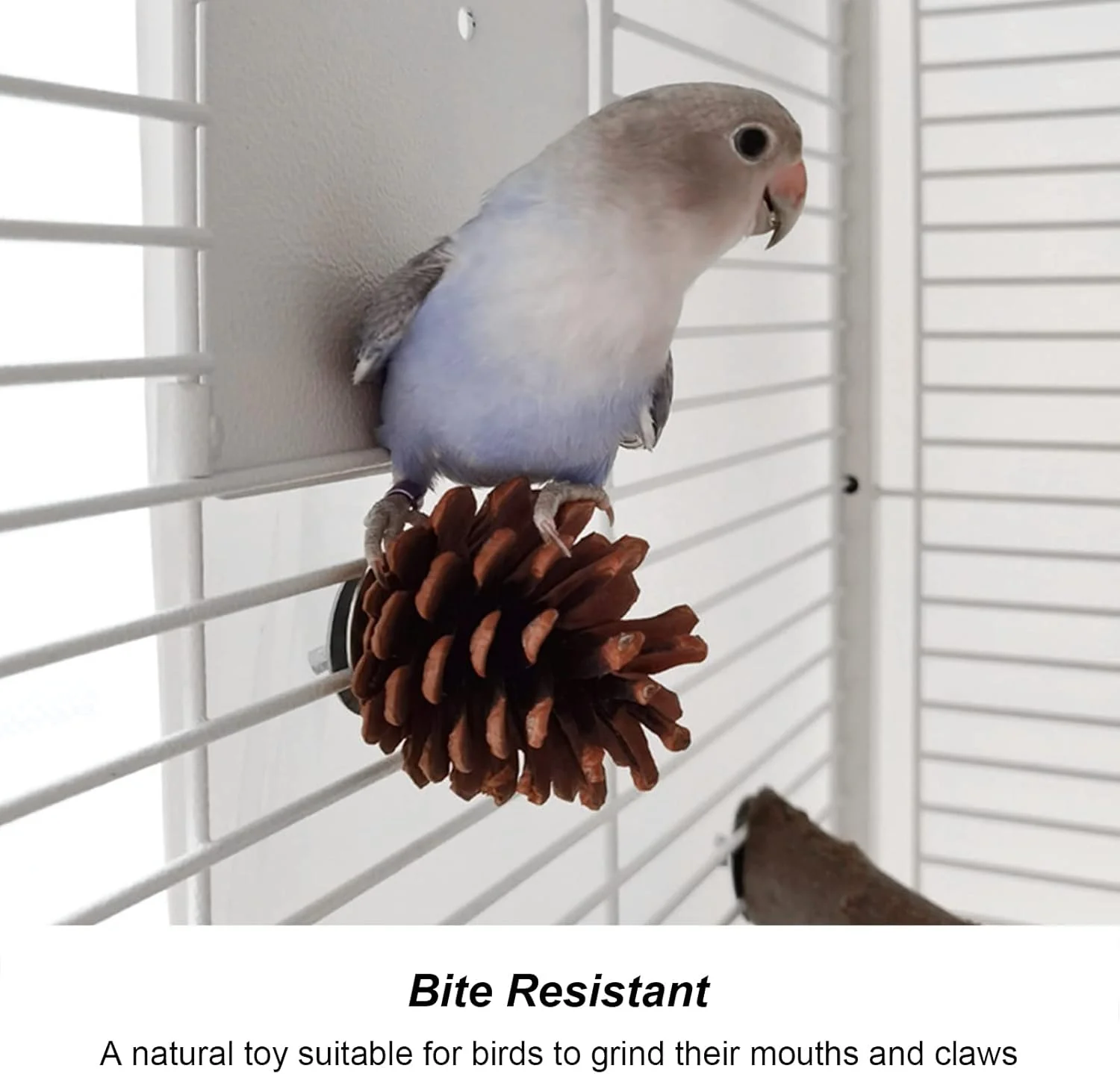 اسباب بازی جویدنی مخروط کاج پرندگان، مناسب برای طوطی، عروس هلندی، کانور، فنچ، مرغ عشق، ماکائو - 10 عدد اسباب بازی جویدنی مخروط کاج پرندگان، مناسب برای طوطی، عروس هلندی، کانور، فنچ، مرغ عشق، ماکائو - 10 عدد