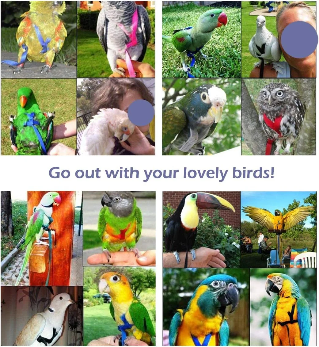 بند و افسار طوطی نایلونی قابل تنظیم CIEOVO SZSJBK با طراحی ضد گاز گرفتن، 1.8 متر (S)