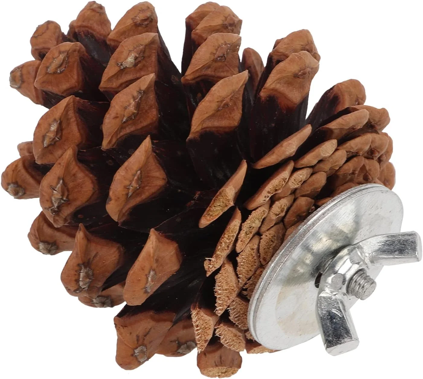 اسباب بازی جویدنی مخروط کاج پرندگان، مناسب برای طوطی، عروس هلندی، کانور، فنچ، مرغ عشق، ماکائو - 10 عدد اسباب بازی جویدنی مخروط کاج پرندگان، مناسب برای طوطی، عروس هلندی، کانور، فنچ، مرغ عشق، ماکائو - 10 عدد