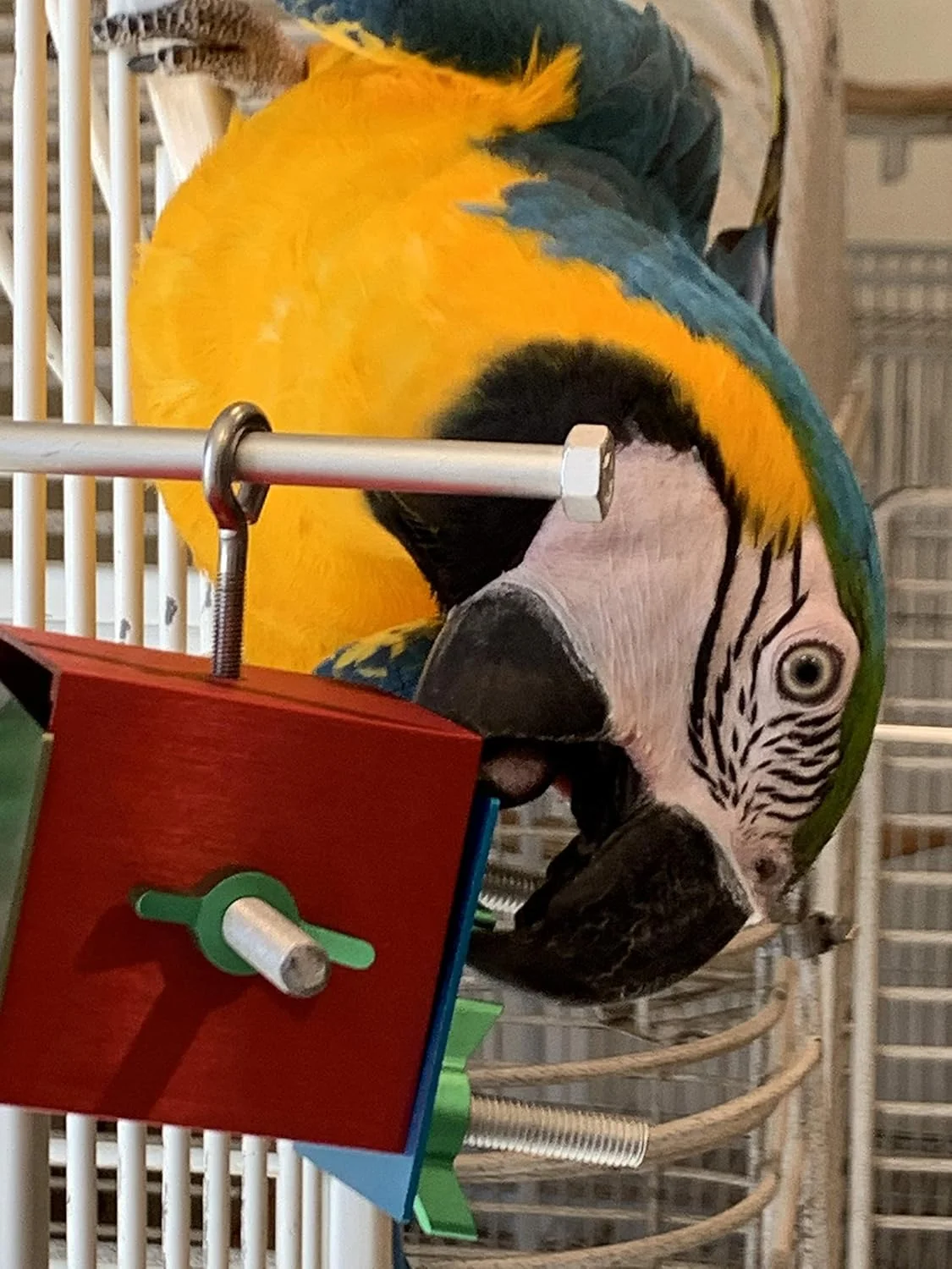 جعبه سرگرمی پرنده بازیگوش، آلومینیومی مربع 2.5 اینچی، اسباب بازی فکری و نشکن