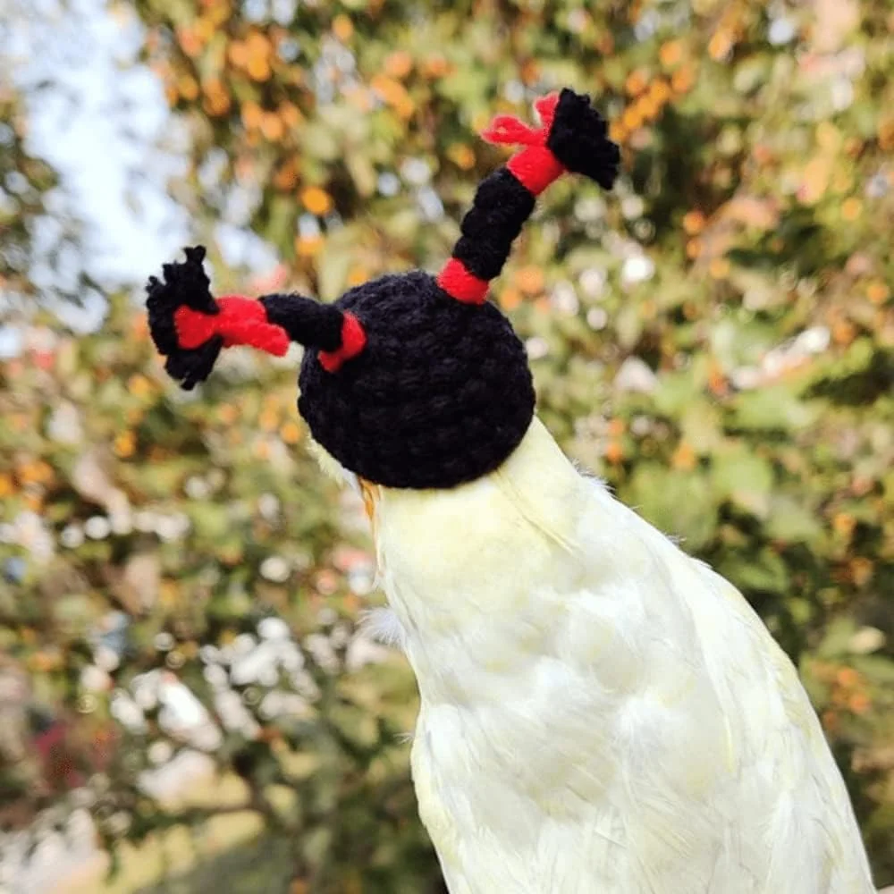 کلاه پرندگان بامزه، کلاه های کوچک دست بافتنی حیوانات کوچک، کلاه خنده دار برای طوطی، مرغ عشق، کاسکو، طوطی برزیلی، عروس هلندی، جشن تولد/هالووین/کریسمس کلاه پرندگان بامزه، کلاه های کوچک دست بافتنی حیوانات کوچک، کلاه خنده دار برای طوطی، مرغ عشق، کاسکو، طوطی برزیلی، عروس هلندی، جشن تولد/هالووین/کریسمس