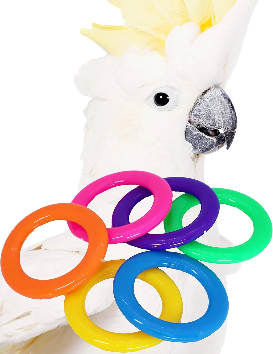 اسباب بازی پرندگان بونکا مدل لیوان های کوچک خندان، قرقره های بوبین، پستانک رنگی، قطعات اسباب بازی طوطی، پلاستیک جویدنی برای جستجو و بازی با پا، چند رنگ مدل 1196 اسباب بازی پرندگان بونکا مدل لیوان های کوچک خندان، قرقره های بوبین، پستانک رنگی، قطعات اسباب بازی طوطی، پلاستیک جویدنی برای جستجو و بازی با پا، چند رنگ مدل 1196