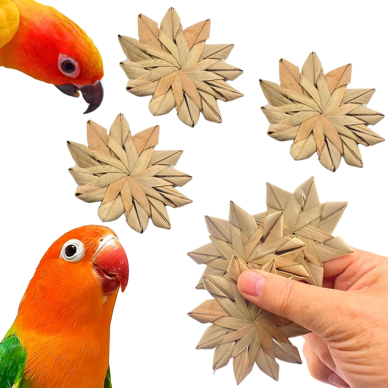 اسباب بازی پرنده بونکا، 3 عدد گل برگ نخل طبیعی، اسباب بازی طوطی، جستجوی غذا، قطعه کاردستی پا، قفس ناخن اسباب بازی پرنده بونکا، 3 عدد گل برگ نخل طبیعی، اسباب بازی طوطی، جستجوی غذا، قطعه کاردستی پا، قفس ناخن