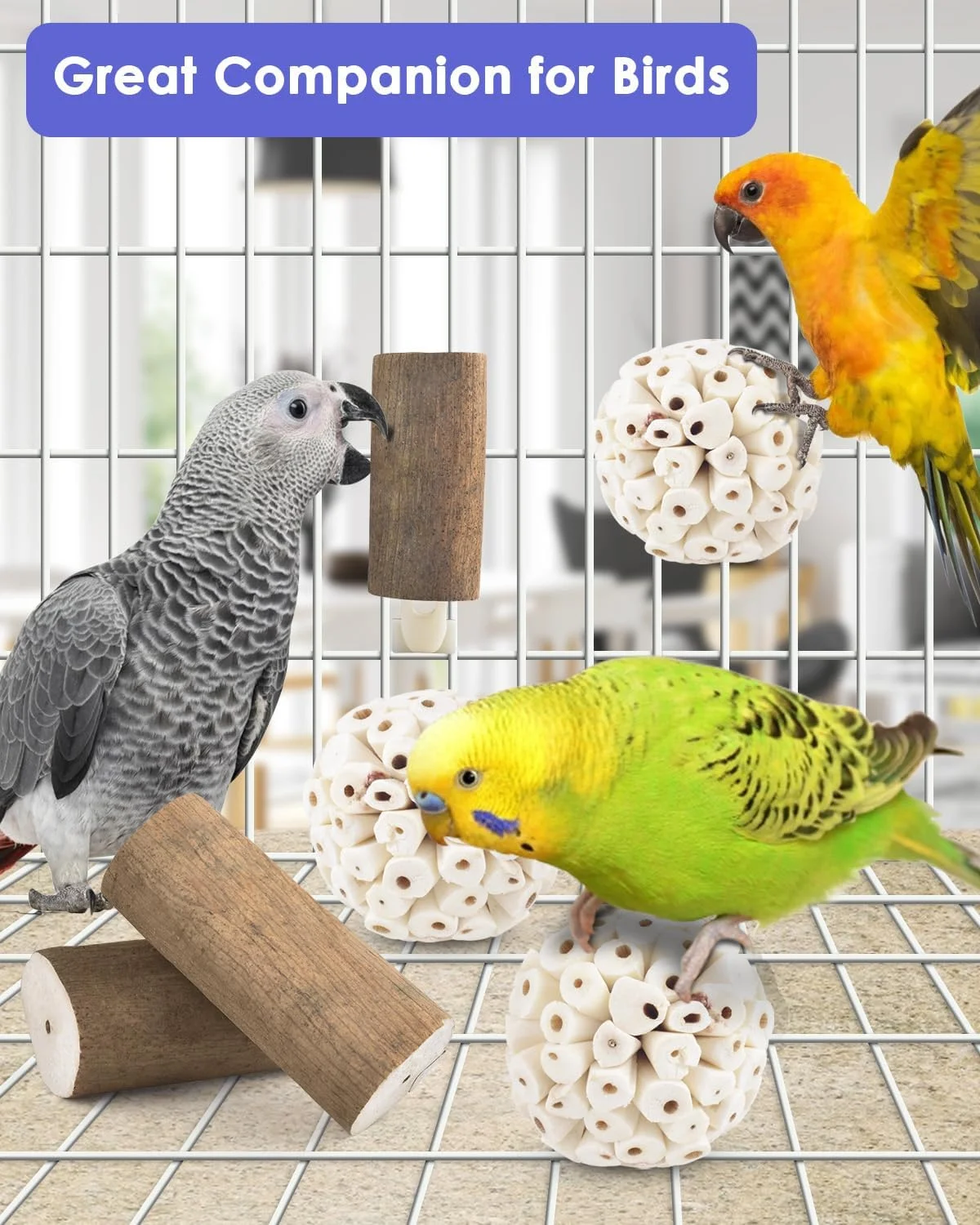 بیساپ مجموعه 7 عددی اسباب بازی کوچک طوطی، توپ های سولای طبیعی، چوب های سولای پوست، اسباب بازی جویدنی طوطی، توپ های پایی پرنده برای عروس هلندی، کانور، کاکادو، مرغ عشق، فنچ، قفس طوطی، اسباب بازی های گاز گرفتنی