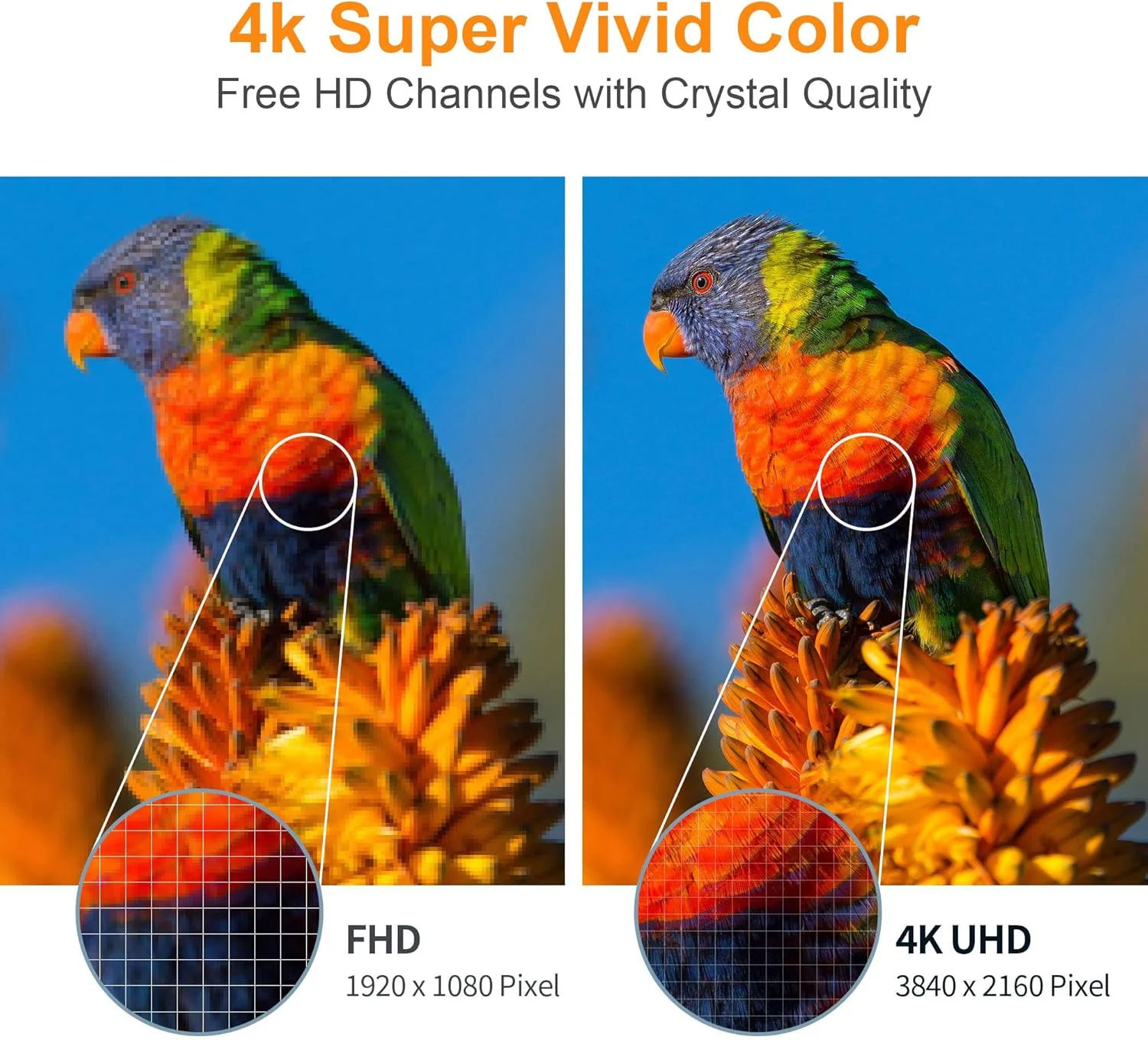 آنتن تلویزیون دیجیتال TCFTT با برد بلند 250+ مایل - آنتن تلویزیون HD تقویت شده داخلی برای تلویزیون رایگان، پشتیبانی از کانال های تلویزیونی محلی 4K 1080P با تقویت کننده و کابل کواکسیال 13 فوتی آنتن تلویزیون دیجیتال TCFTT با برد بلند 250+ مایل - آنتن تلویزیون HD تقویت شده داخلی برای تلویزیون رایگان، پشتیبانی از کانال های تلویزیونی محلی 4K 1080P با تقویت کننده و کابل کواکسیال 13 فوتی