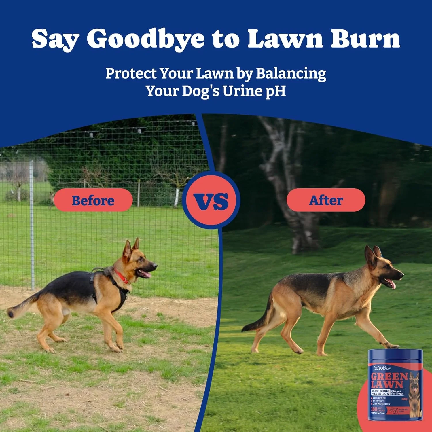 قرص های جویدنی برای جلوگیری از سوختگی چمن توسط سگ ها - گرین لان