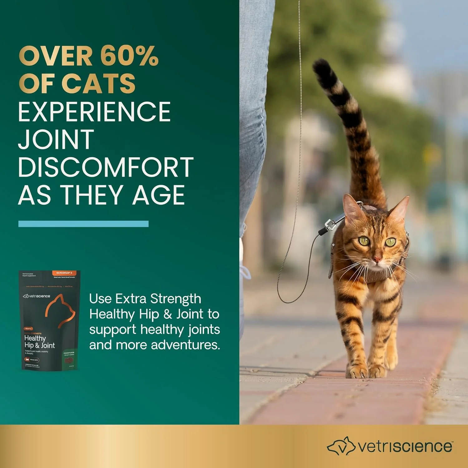 آزمایشگاه های VetriScience - GlycoFlex 3، مکمل مفصل و لگن برای گربه ها، 60 عدد جویدنی کوچک آزمایشگاه های VetriScience - GlycoFlex 3، مکمل مفصل و لگن برای گربه ها، 60 عدد جویدنی کوچک