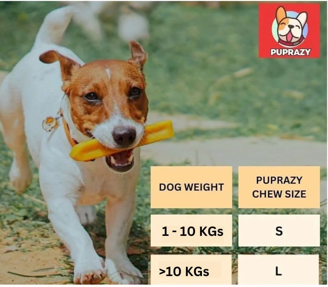 تشویقی سگ پوپرازی هیمالیایی | نارگیل، نعناع، ترکیب پنیر یاک - سایز S