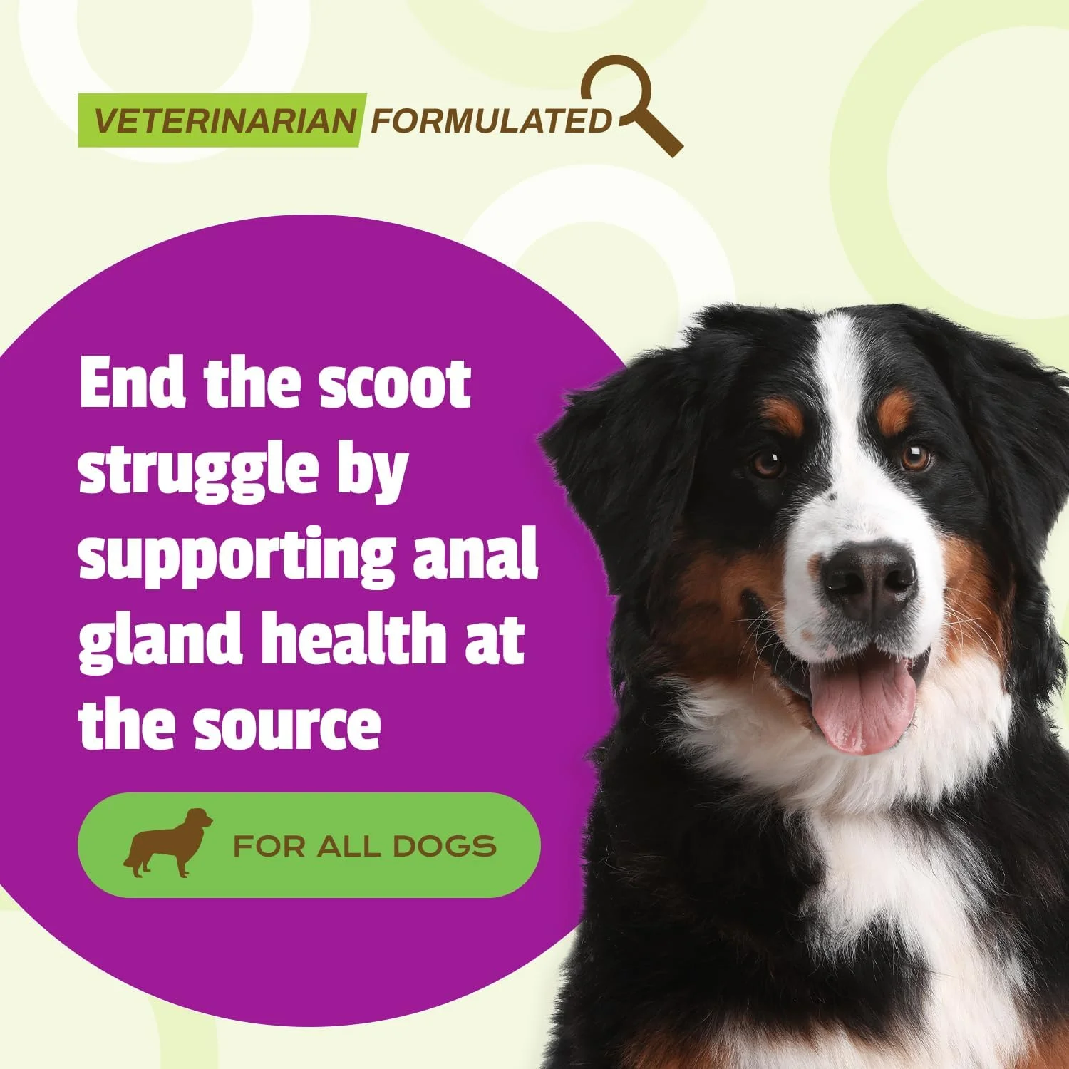 اسنک سگ Pet Naturals Scoot Bars، پشتیبانی از دستگاه گوارش، طعم اردک، 30 عدد