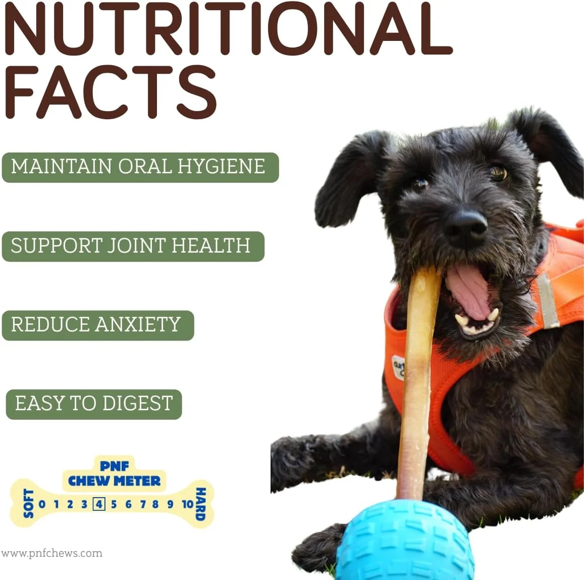 چوب جویدنی سگ 12 اینچی (نازک) - 1 عدد - خوراک جویدنی سگ - تهیه شده از گوشت گاو بدون آنتی بیوتیک و هورمون - ایده آل برای نژادهای کوچکتر و سگ های مسن