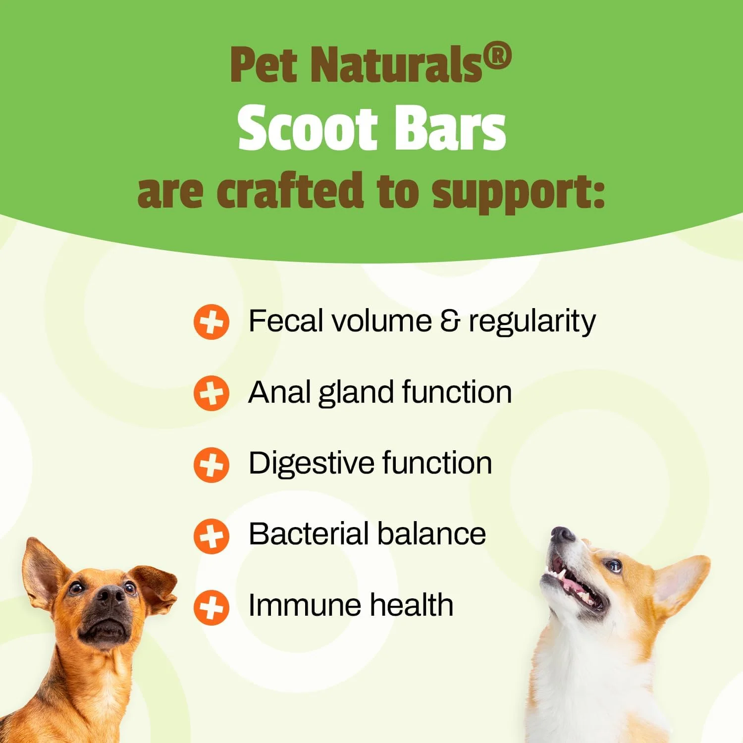 اسنک سگ Pet Naturals Scoot Bars، پشتیبانی از دستگاه گوارش، طعم اردک، 30 عدد