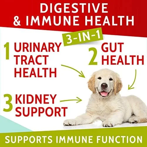 تشویقی سگ برای رفع سوختگی چمن ناشی از ادرار سگ - خنثی کننده ادرار برای لکه های سوختگی چمن - درمان ترمیم چمن ناشی از ادرار سگ به همراه پروبیوتیک - طعم بیکن - 240 عدد