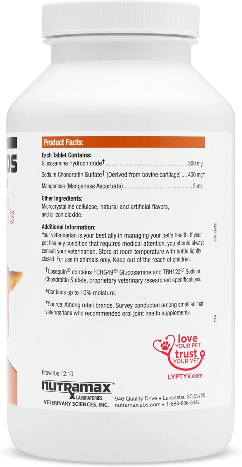 مکمل سلامت مفاصل سگ Nutramax Laboratories Cosequin DS - حاوی گلوکزامین و کندرویتین، 2 بسته، 500 عدد قرص جویدنی