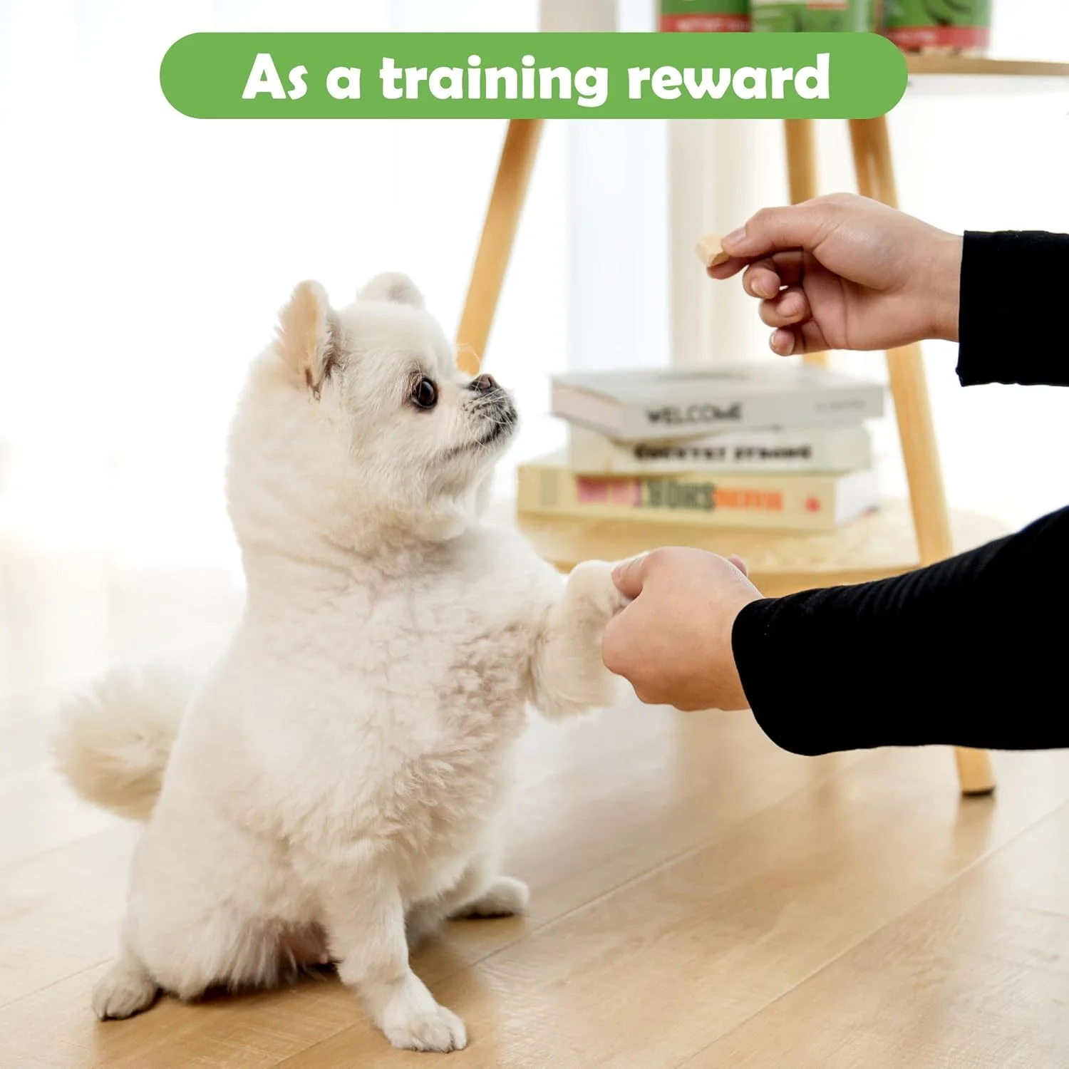 تشویقی مرغ خشک شده مون تو سان برای سگ و گربه، اسنک تک ماده ای طبیعی و سالم، تشویقی های آموزشی غنی از پروتئین و مکمل غذایی، 177 گرم تشویقی مرغ خشک شده مون تو سان برای سگ و گربه، اسنک تک ماده ای طبیعی و سالم، تشویقی های آموزشی غنی از پروتئین و مکمل غذایی، 177 گرم