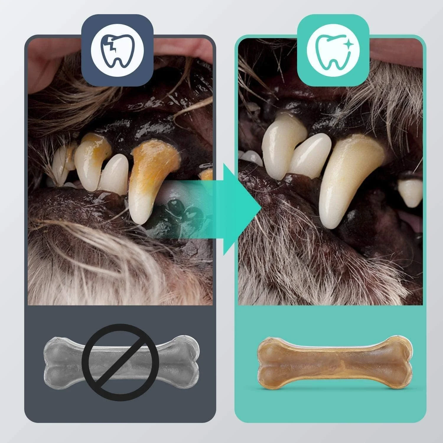 استخوان های جویدنی سگ مامو بیر، 7 سانتی متر در 3 عدد، استخوان های پوست گاو 100% طبیعی و استخوان سگ برای سگ های کوچک، استخوان سگ، غنی از پروتئین