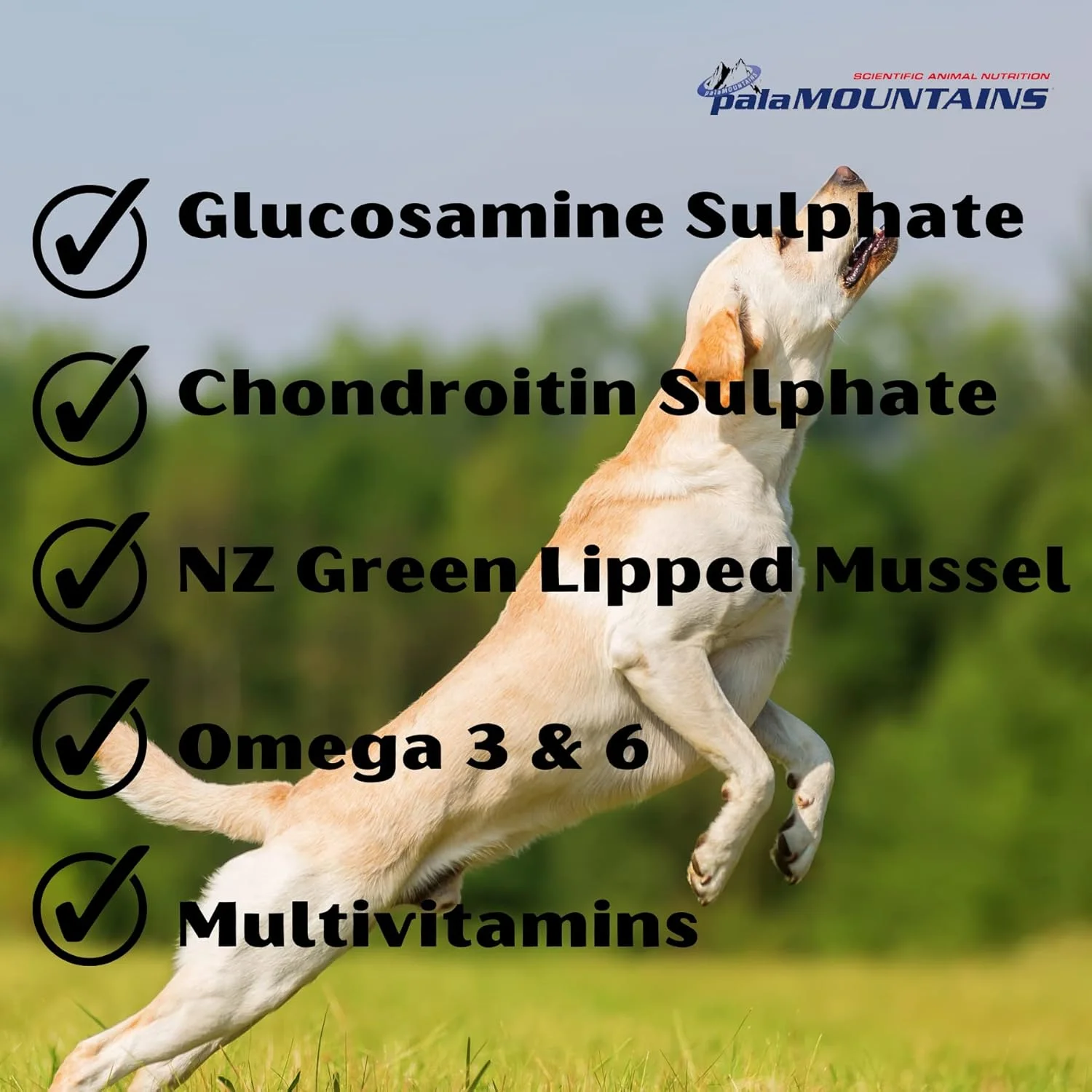 مای بیو مجموعه دامپزشکی استخوان و مفصل 300 میلی لیتر